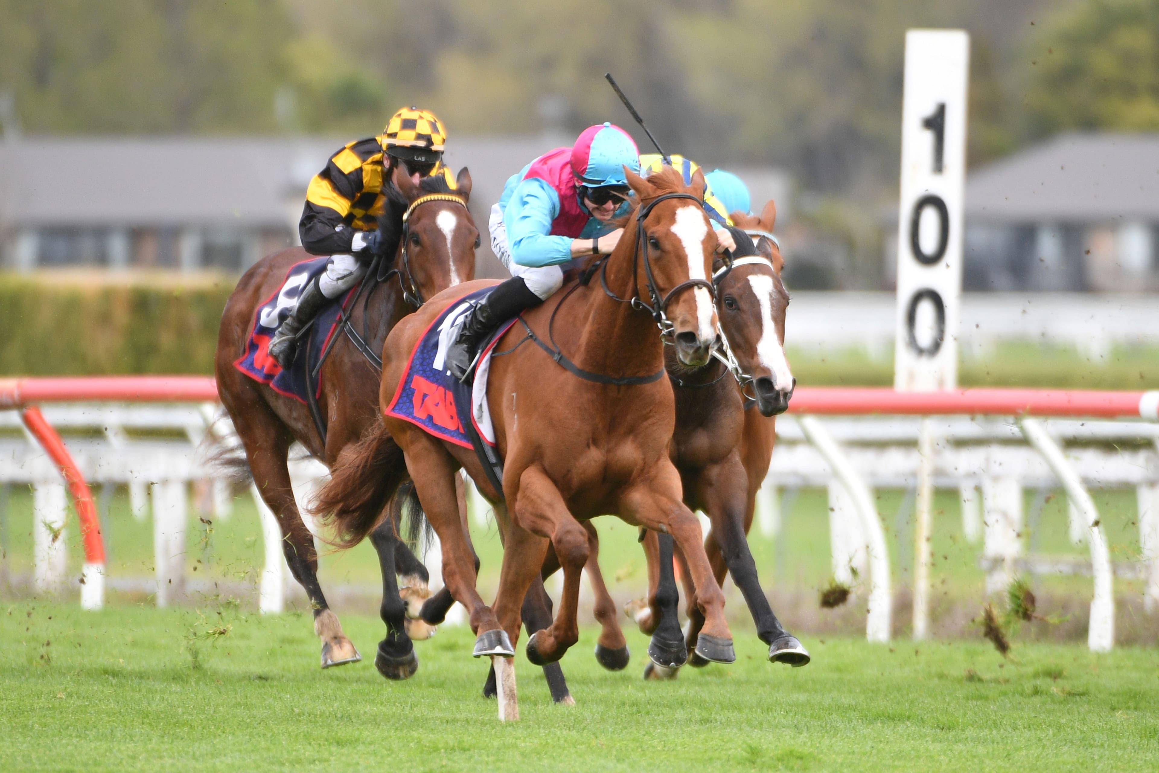 Whiskey ‘N Roses seeking to maintain strong fresh-up record