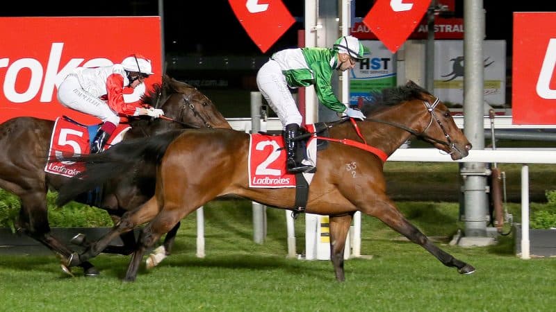 Tasracing's Wednesday best bets at Launceston (29/10)