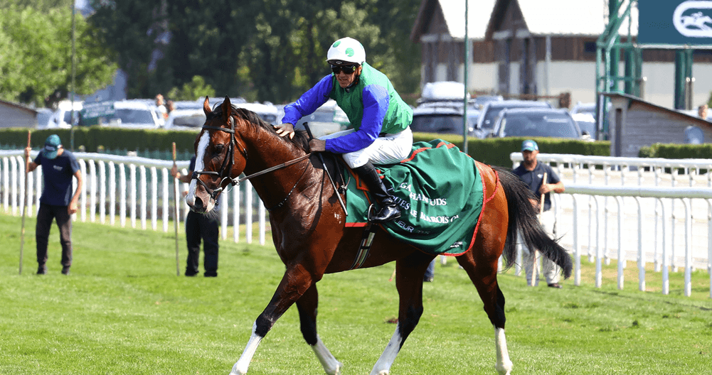 Swettenham Stud unveils world-class 2026 roster