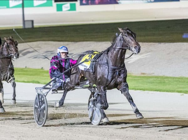 SEN Track: Tim O'Connor's Friday harness tips at Melton (09/05)