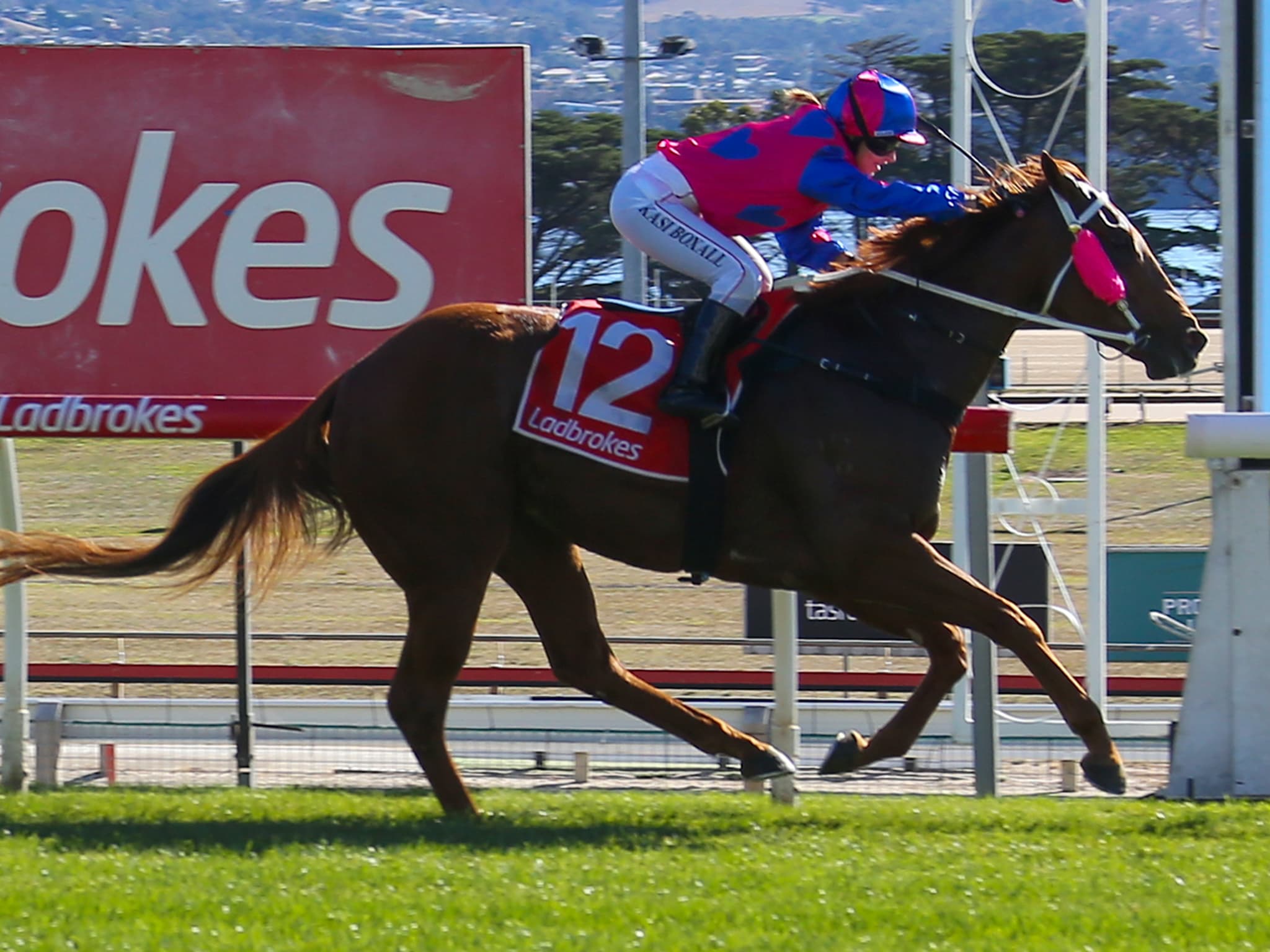 Matt Reid's Sunday racing preview at Hobart (15/02)