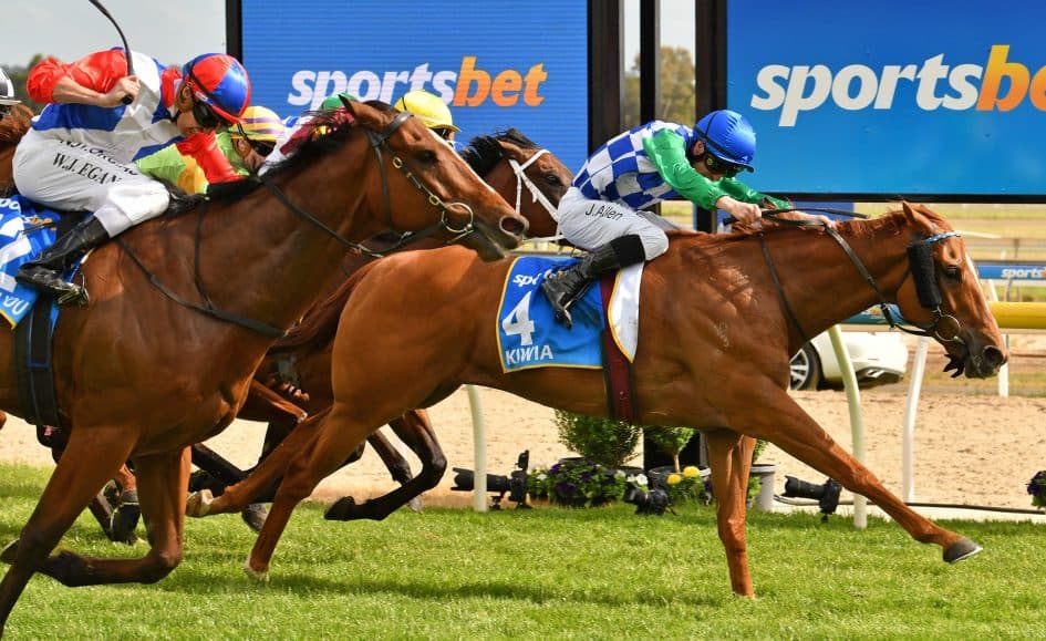 YES or NO: Which horse can win the Ballarat Cup