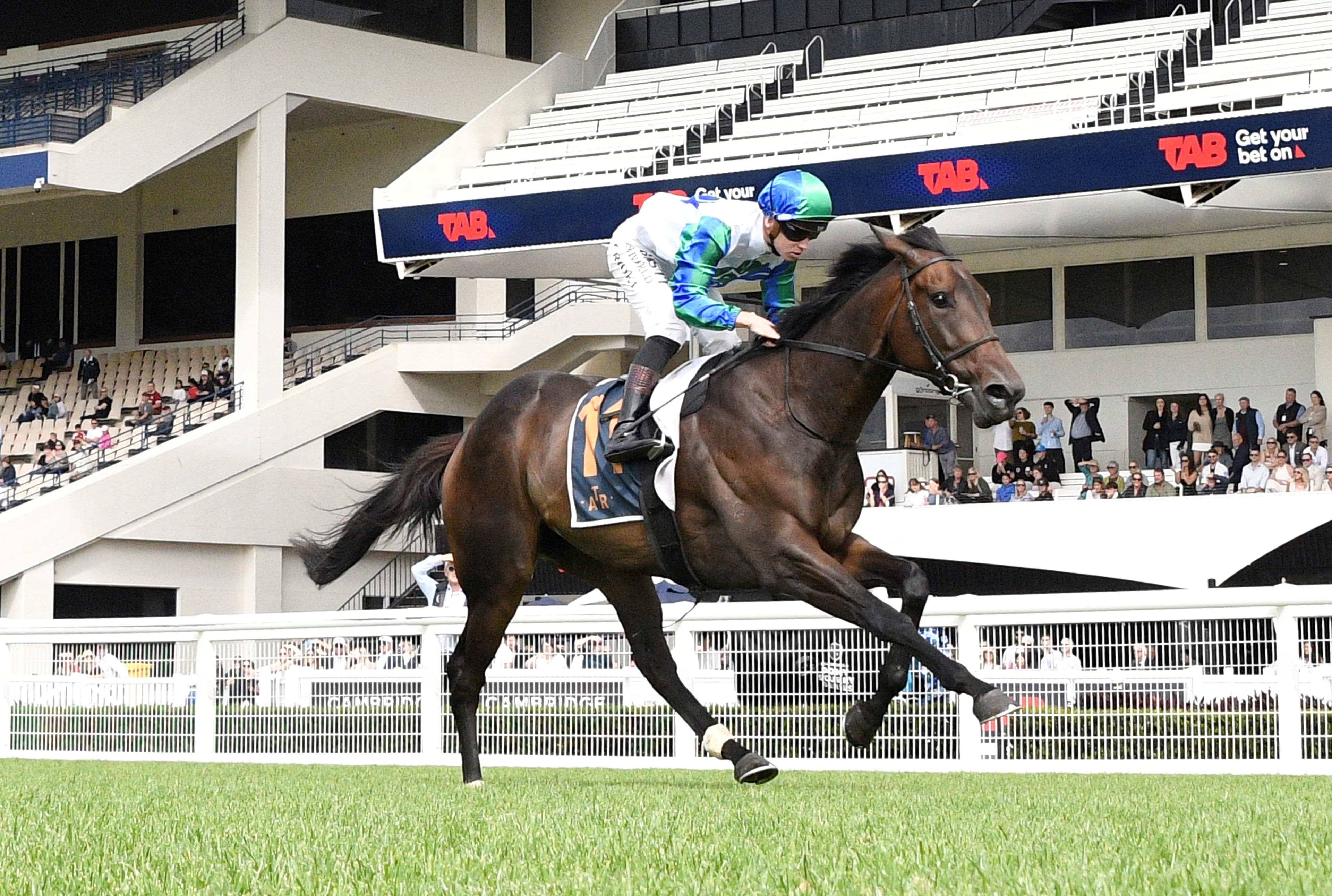 Solid Gold to make Australian debut