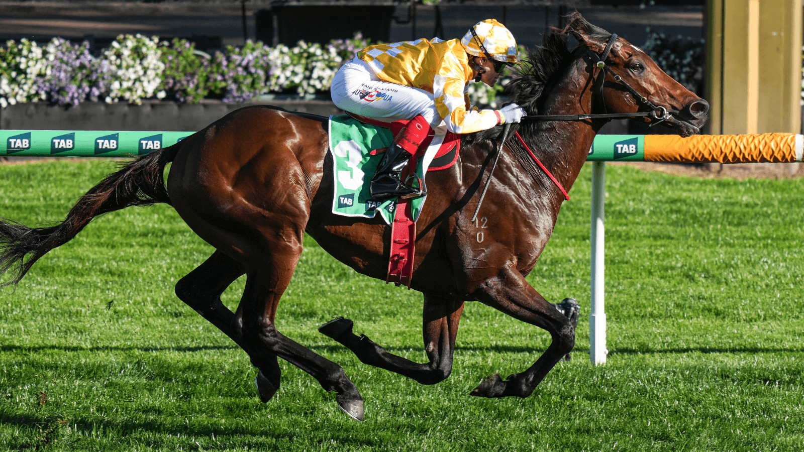 Second acceptances for the 2025 Melbourne Cup