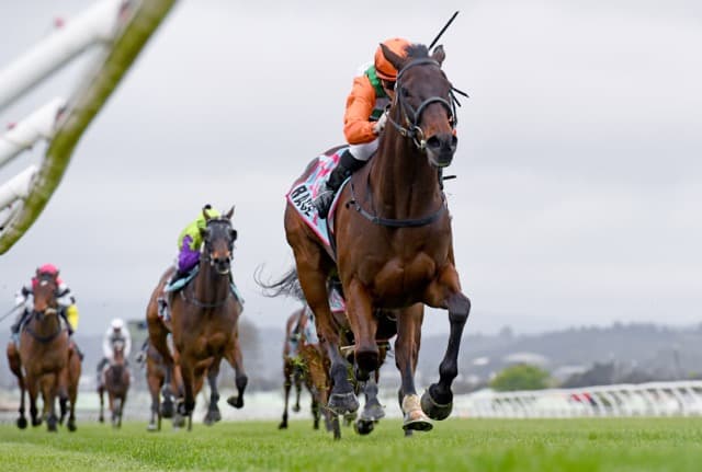Wanganui gelding Knocks Off stakes win at Trentham