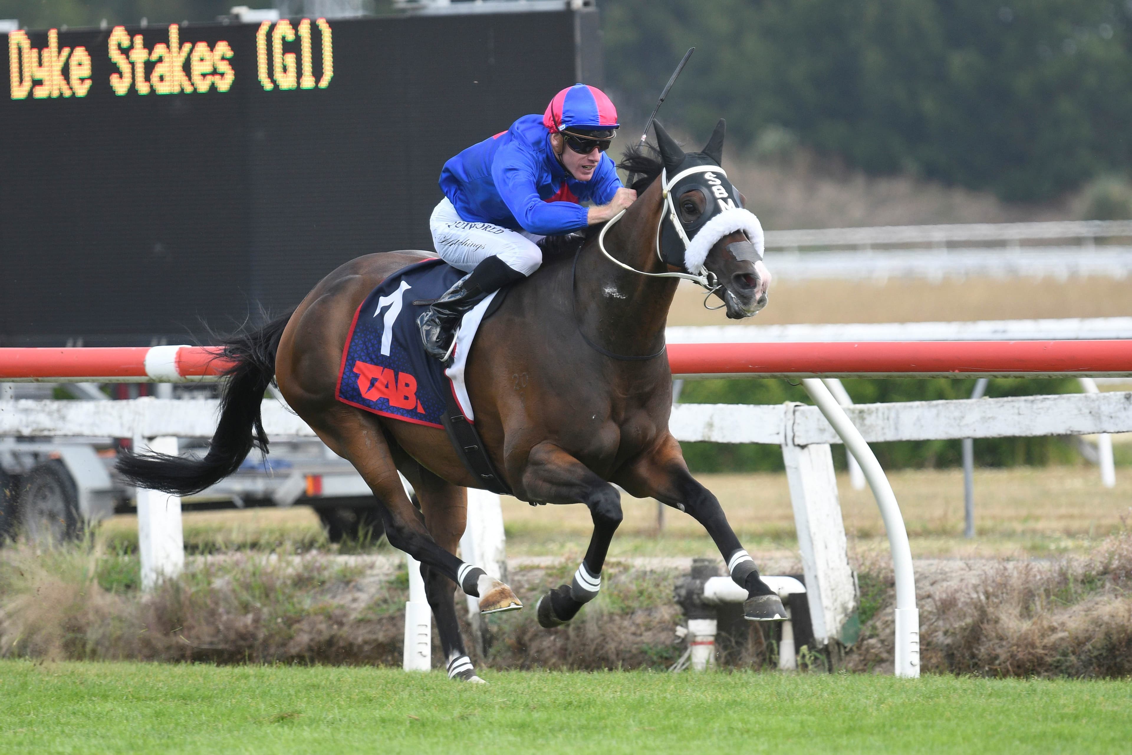 EV gets the green light for Herbie Dyke Stakes