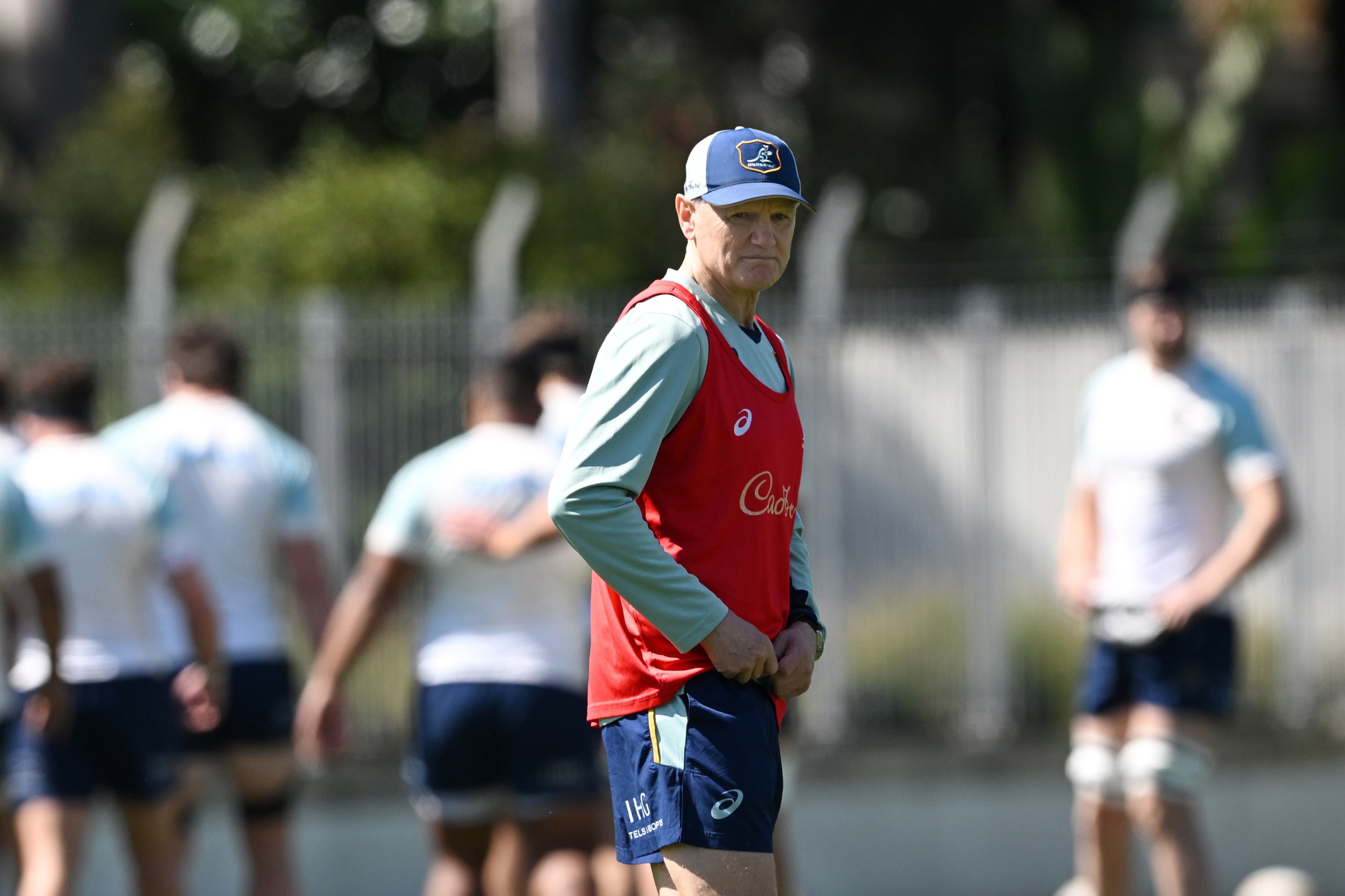 How the wounded Wallabies can defy the odds against the All Blacks in Sydney