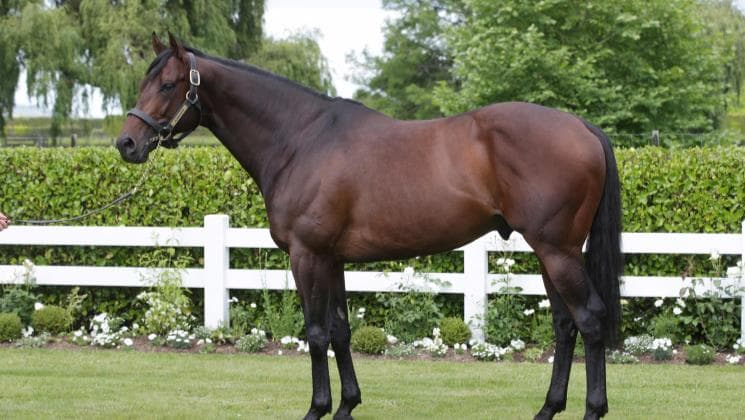 Breeders’ Cup glory for Almanzor filly