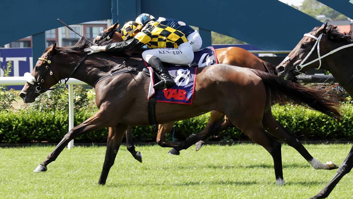 Jaarffi gets deserved Group One victory