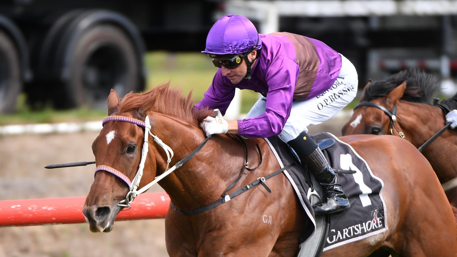 Platinum Pantheon on top at Tauranga