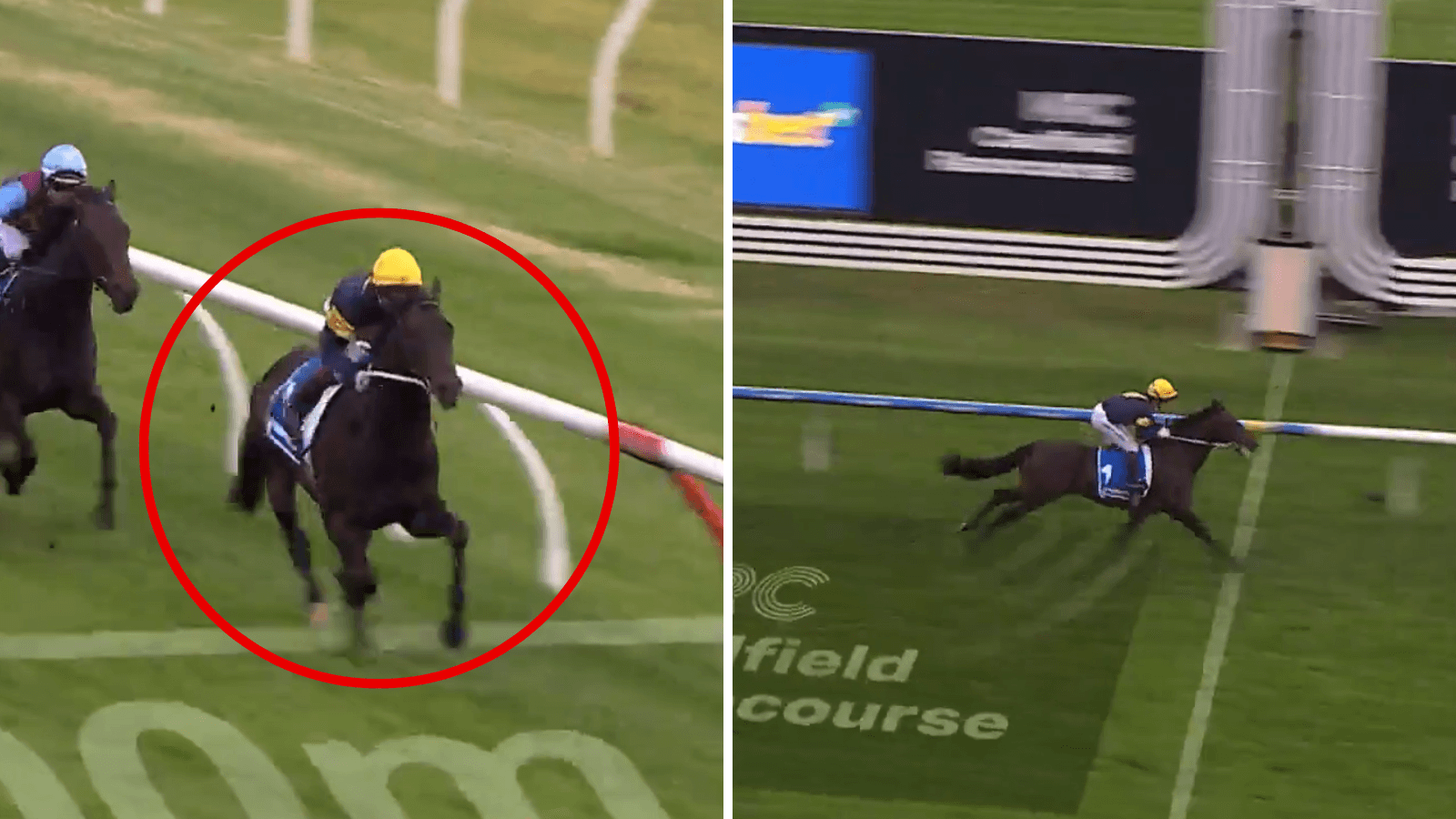 Blue Diamond favourite scratched from prestigious Group 1