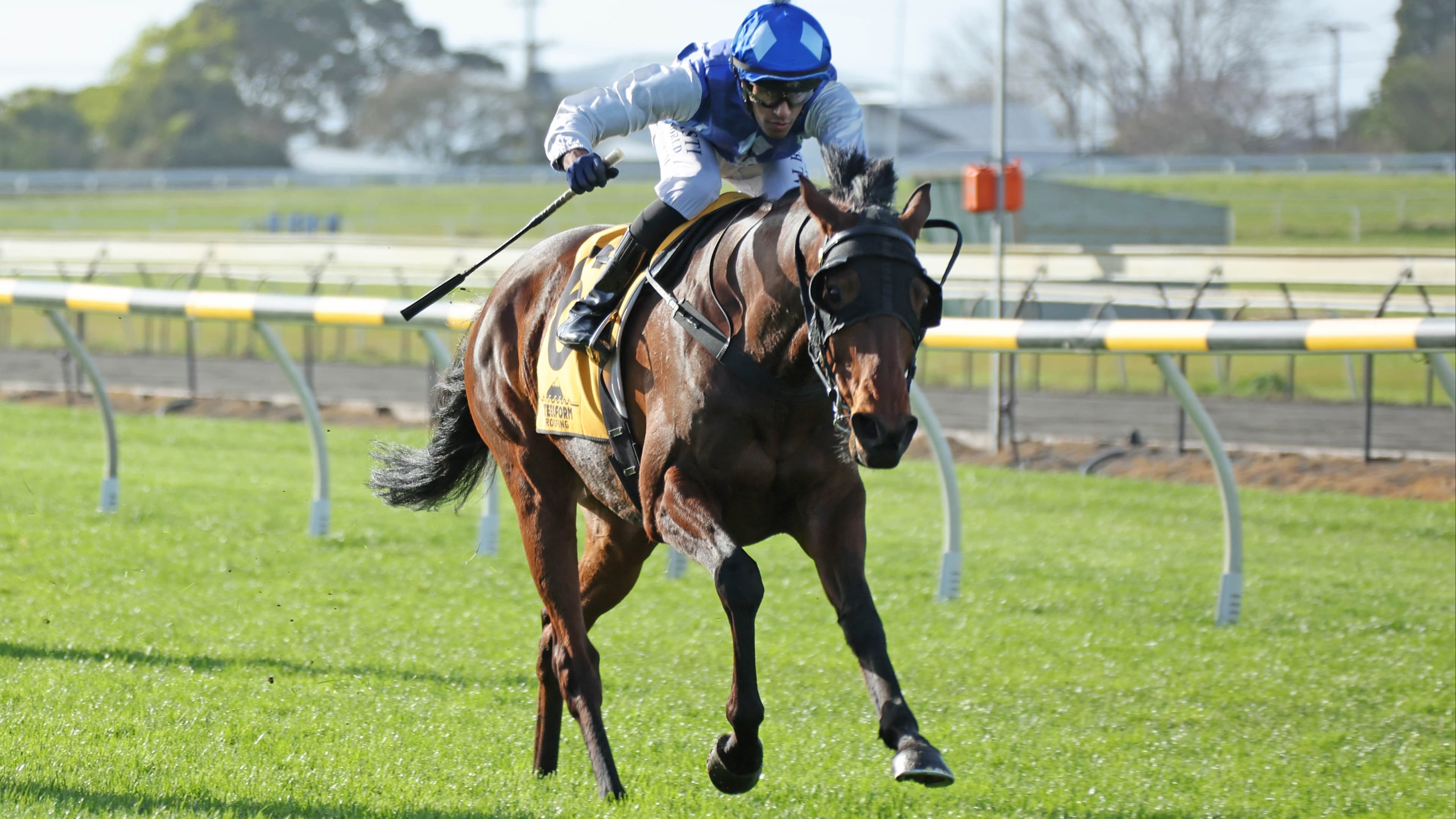 Thrilling finish to Taranaki staying feature