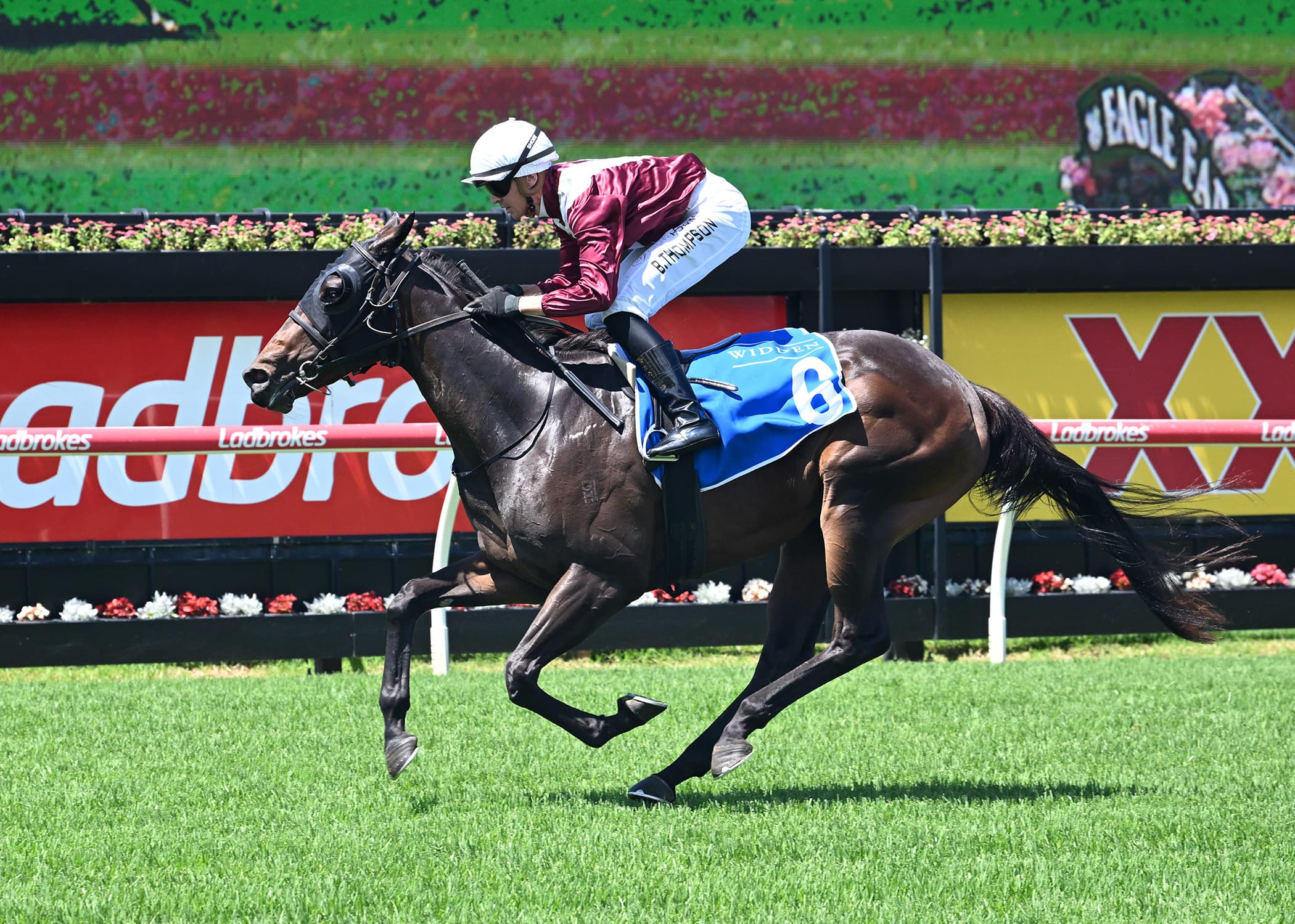 Karaka Millions beckons Birchley’s Dream Roca