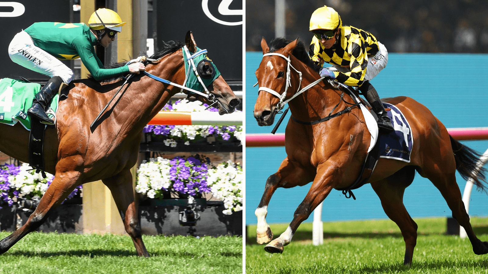 Would Autumn Glow or Sheza Alibi win across 1600m at WFA?