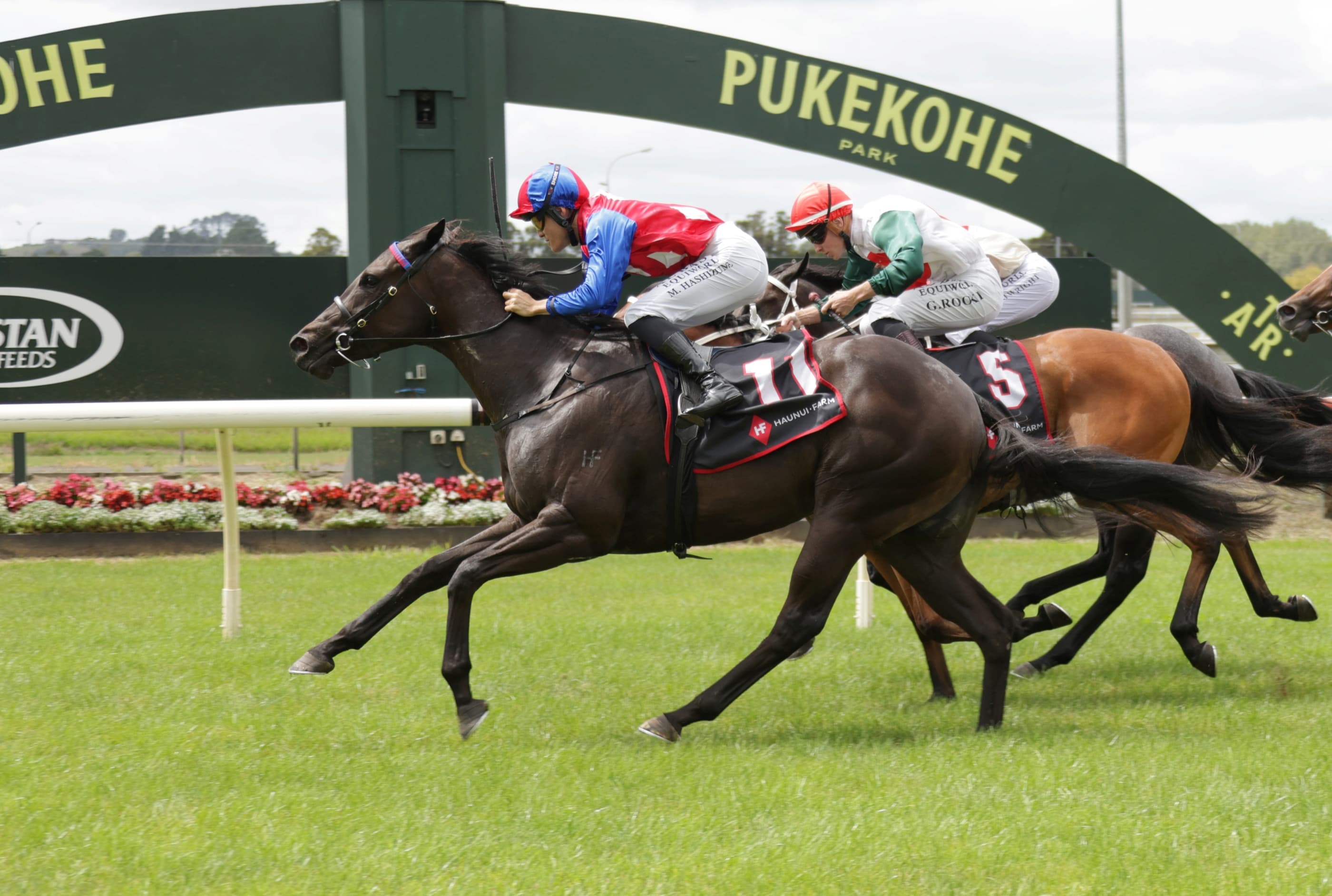 Well-bred 2YO out to add to family honours board