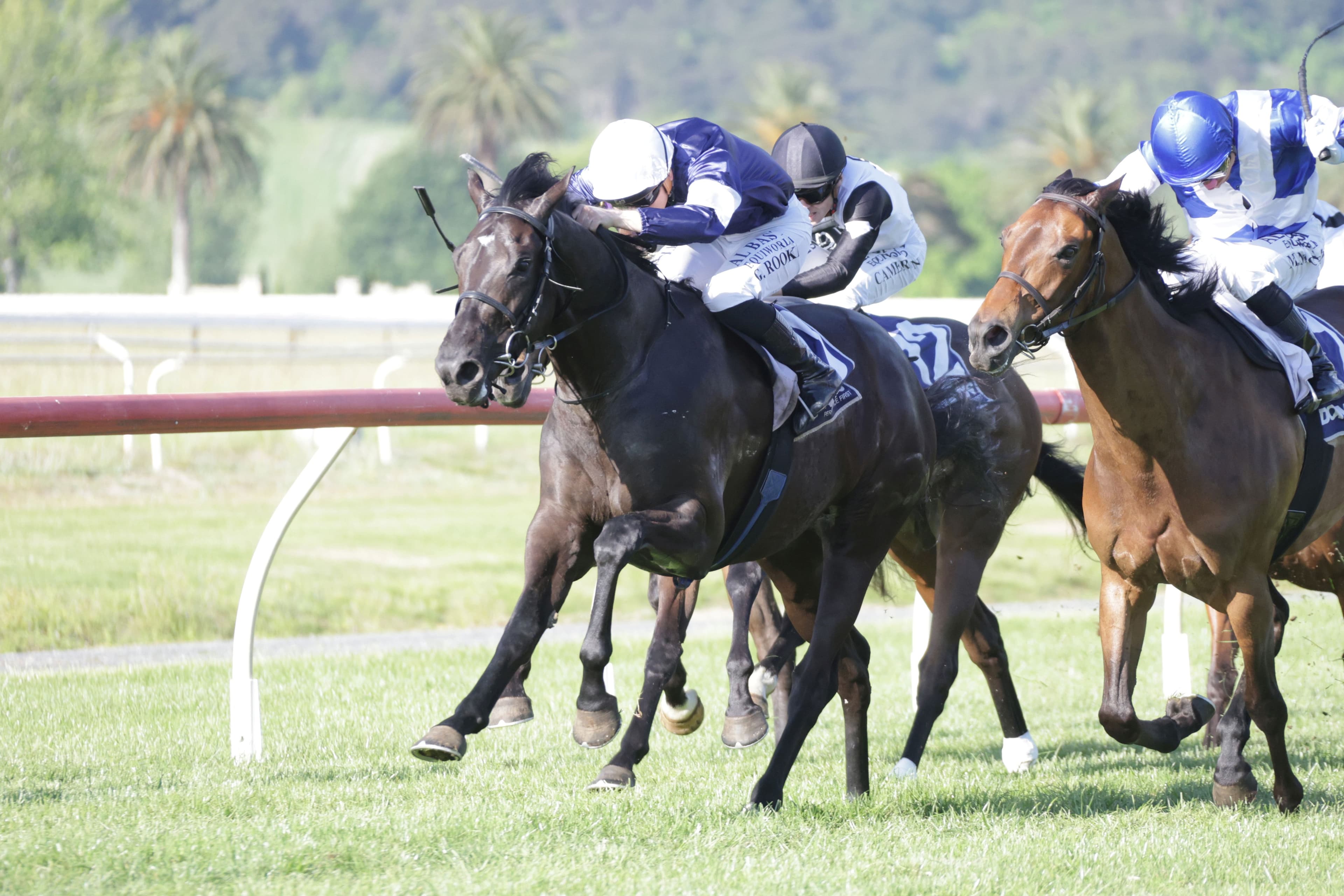 Melbourne Cup-winning partnership reunites