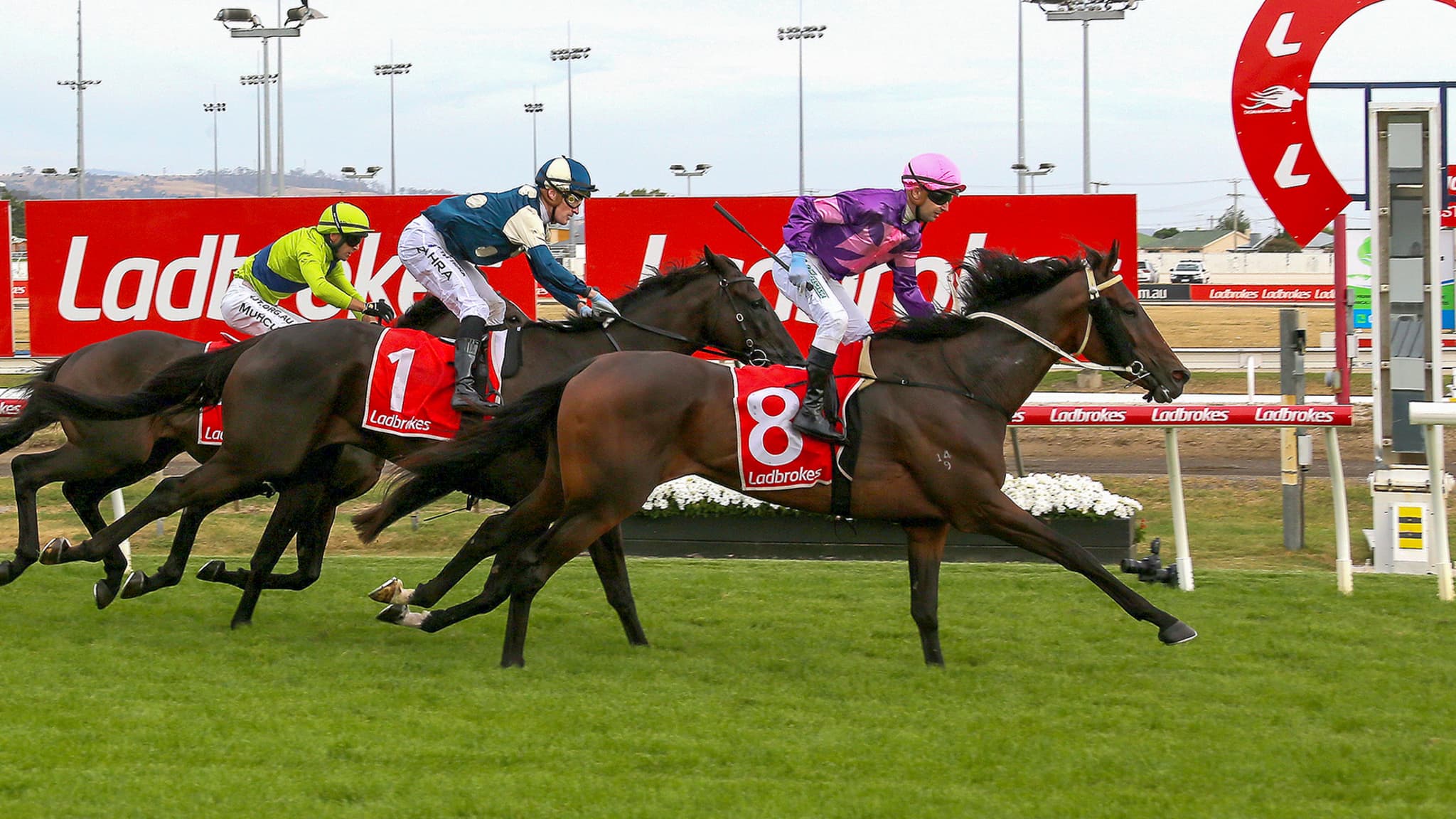 Tasracing's Hobart Cup preview