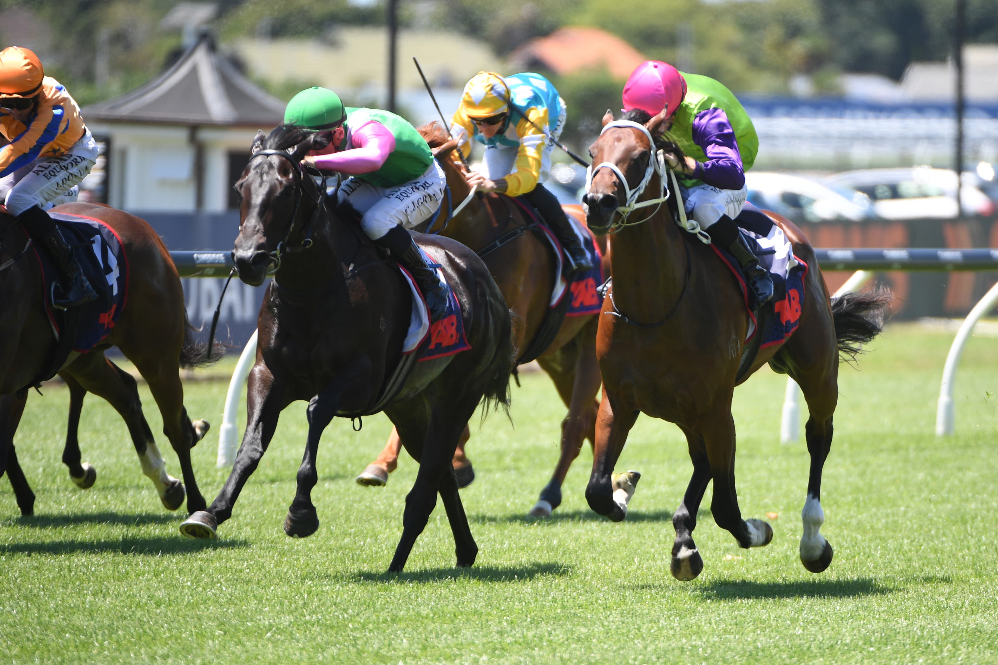 Campbell eyeing repeat stakes double