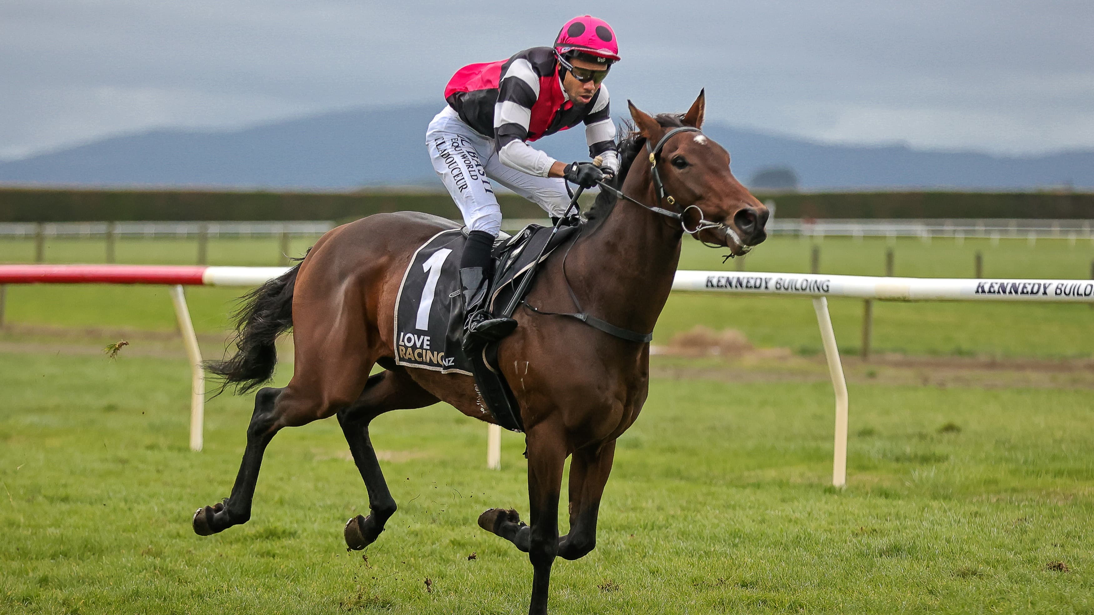 Time for Freddie to head to Queensland