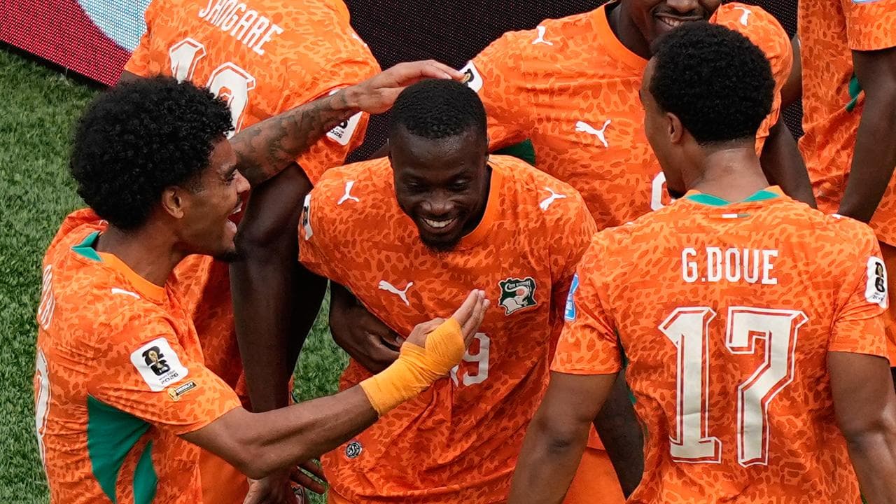 Elephants through to World Cup knockout stage