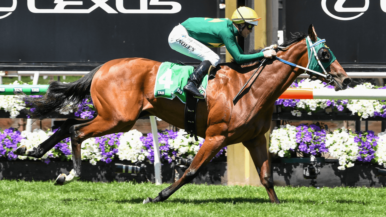 Why a $6 million offer wasn’t enough for Sheza Alibi’s owner