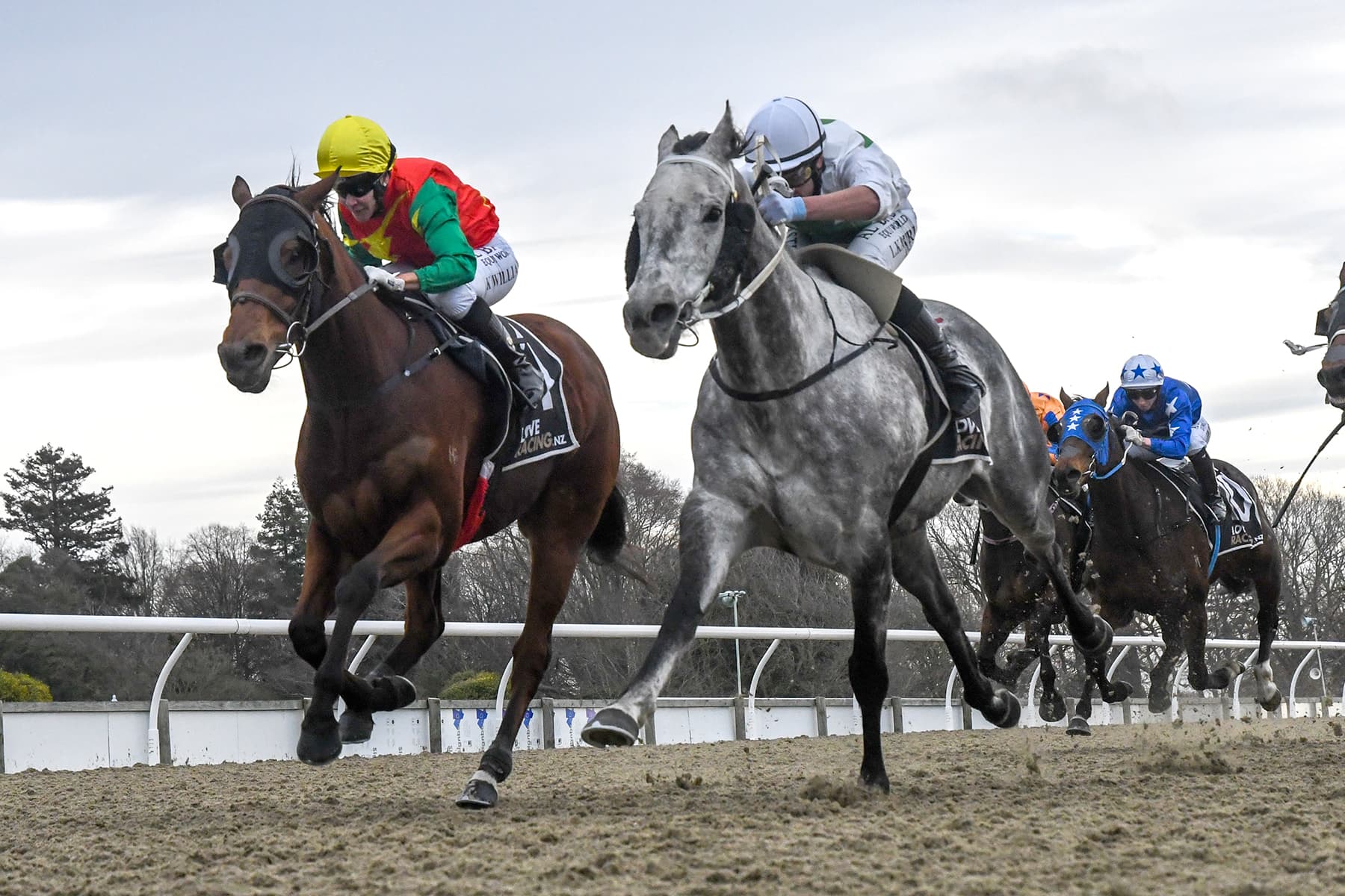 Horowhenua Battler looking to open some Foxton Fizz in Group One