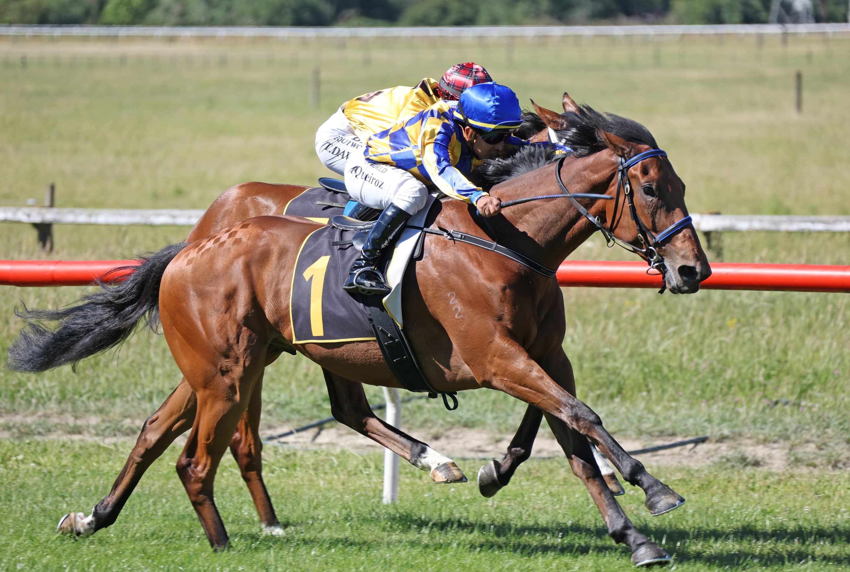Promising three-year-old to test Derby credentials