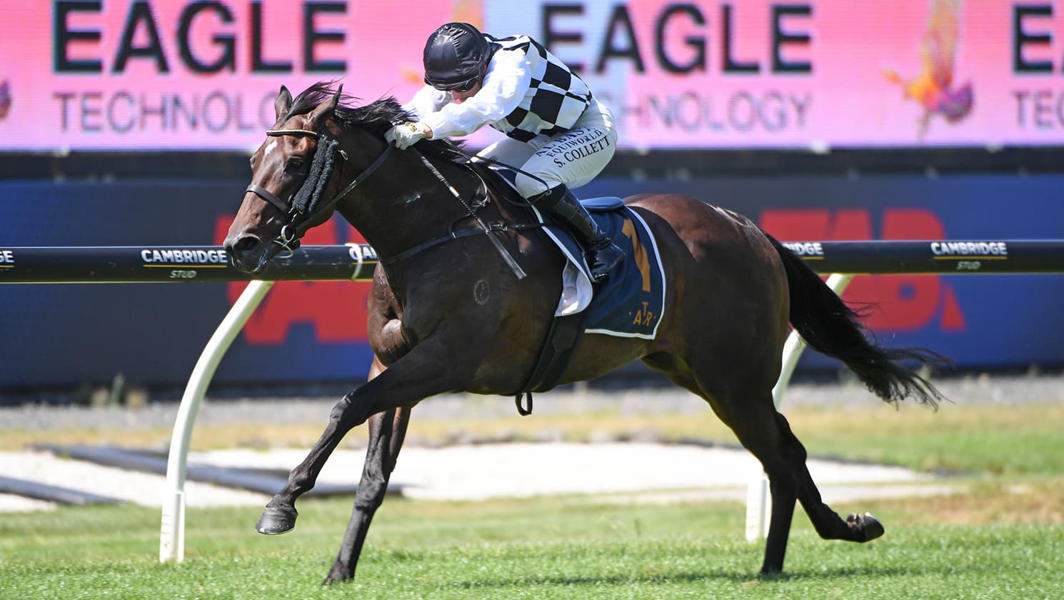 That’s Gold proves staying qualities in Avondale Guineas