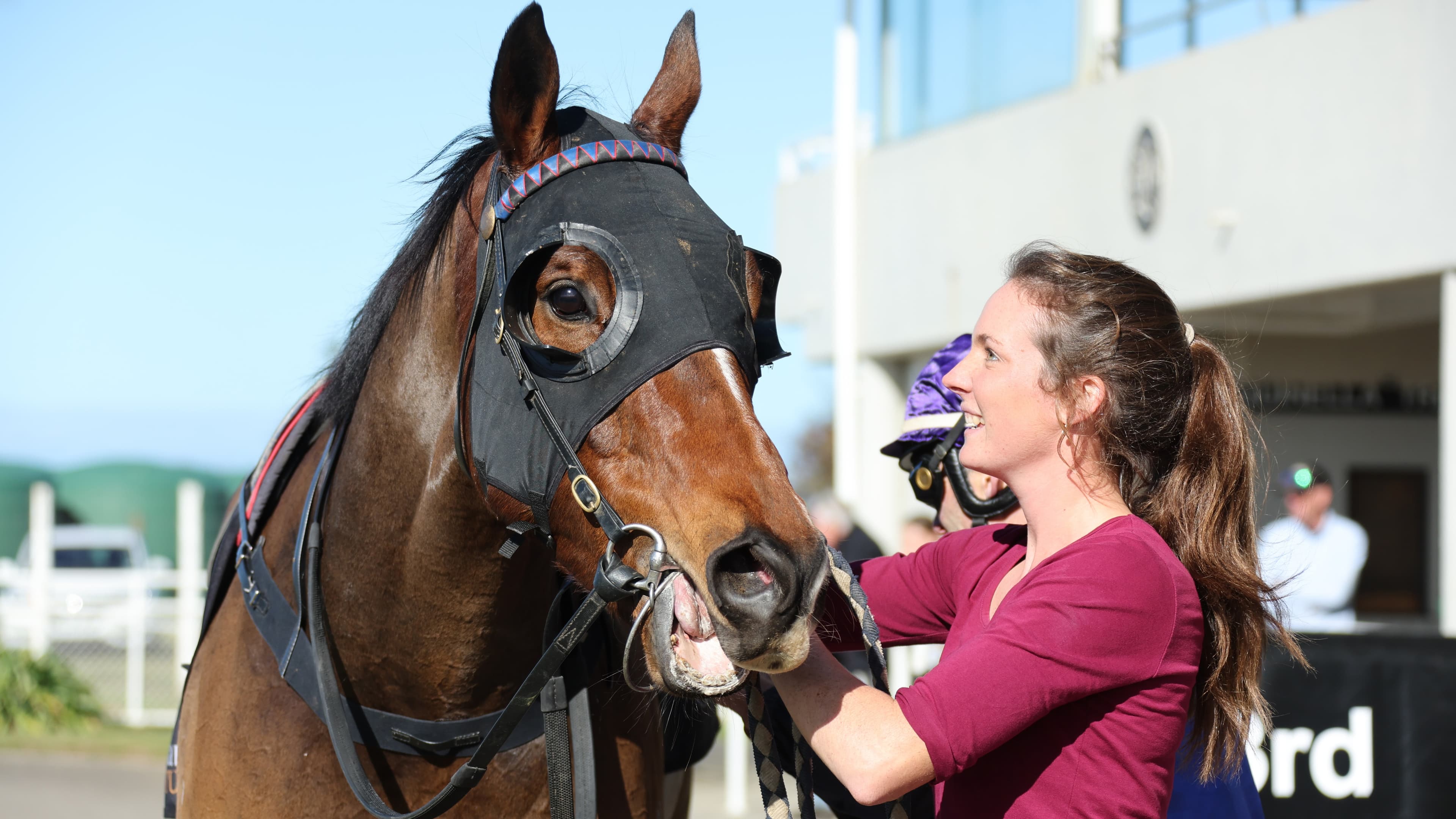 Former Hong Kong galloper to make jumping debut