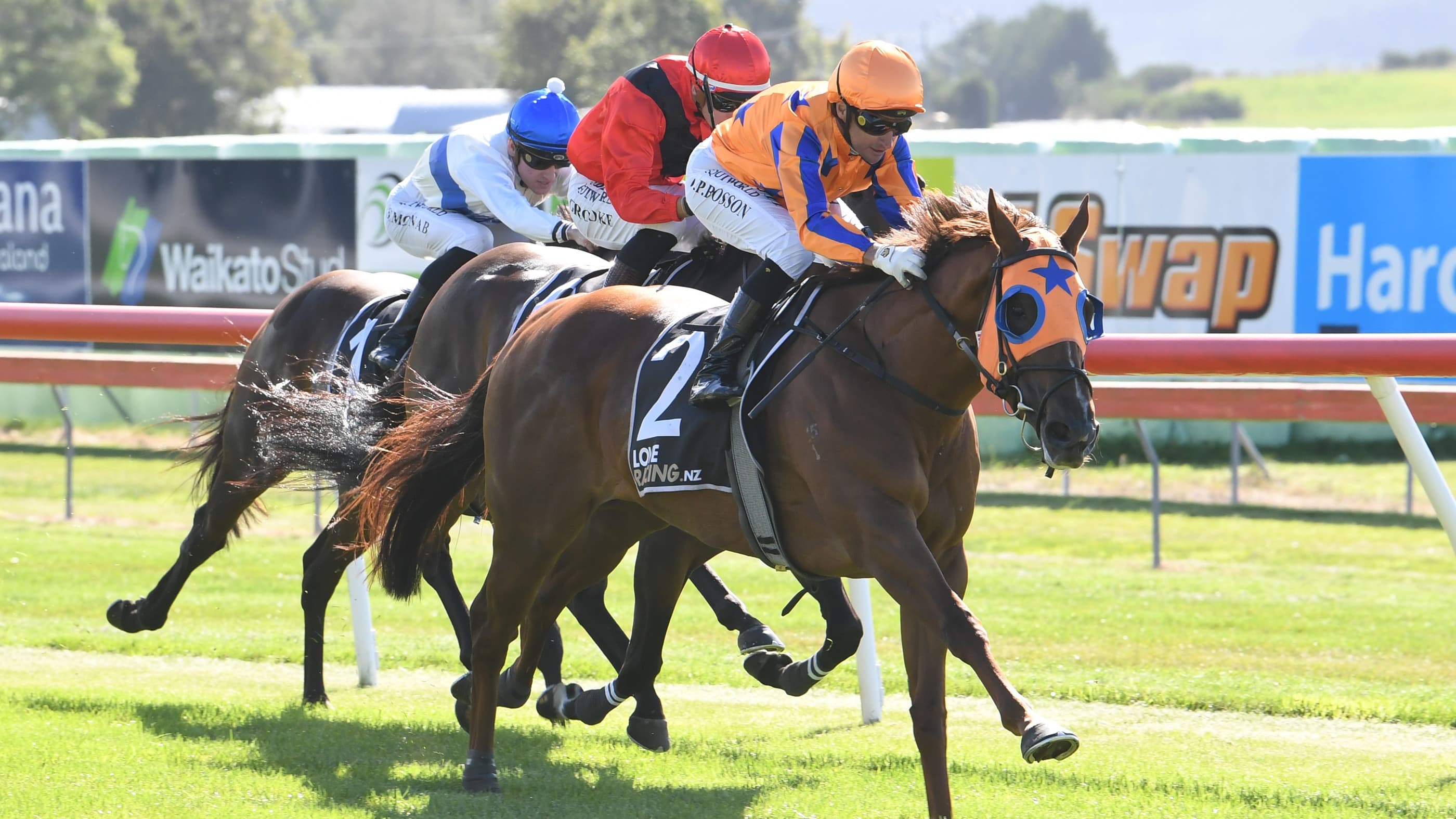 Group One mare recaptures winning form
