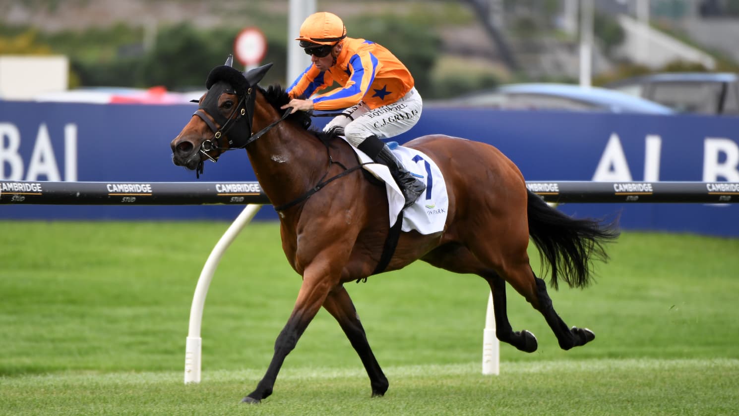 Charmrose proves too quick at Ellerslie