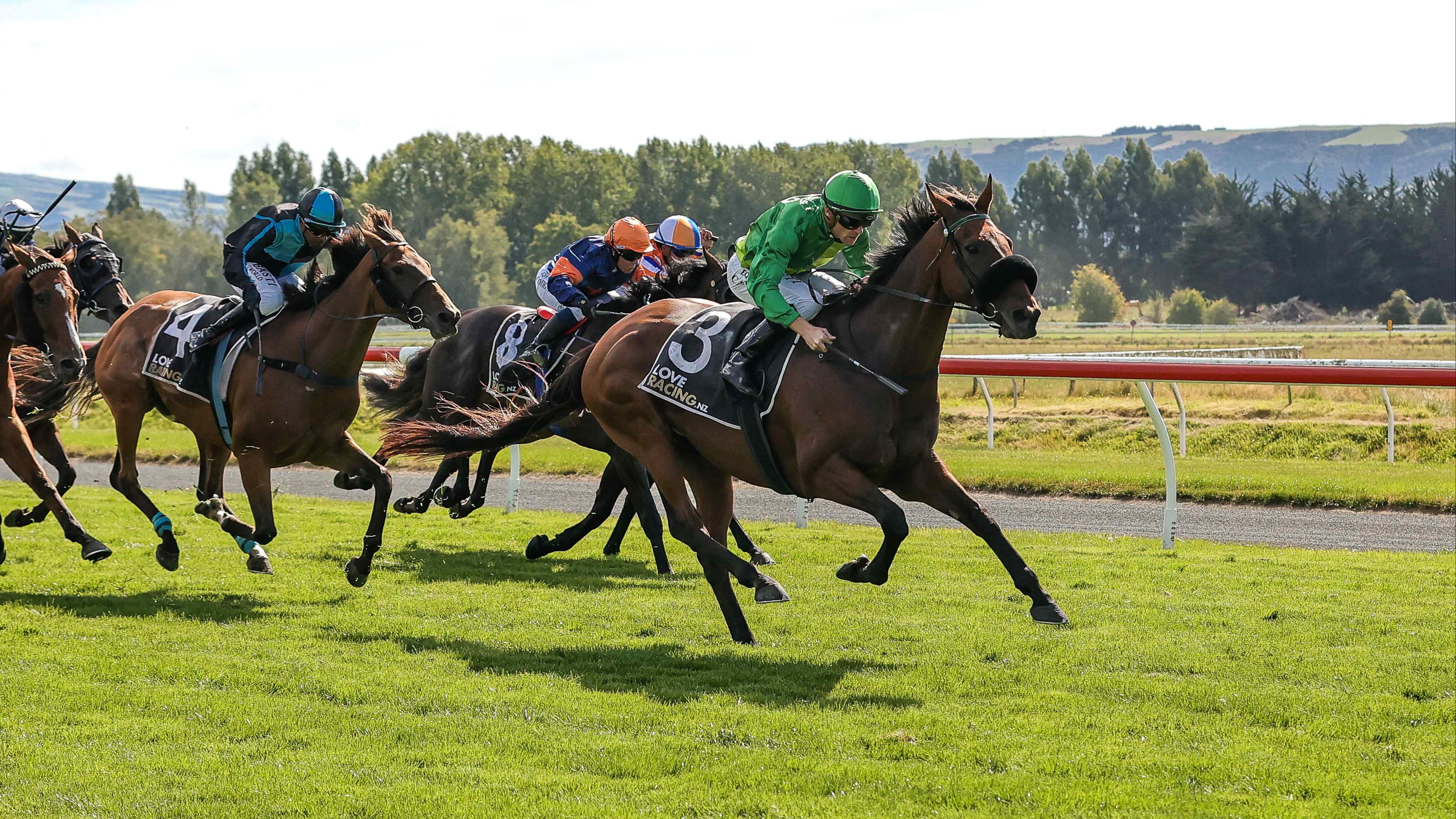Noble Knight wins Dunedin Gold Cup
