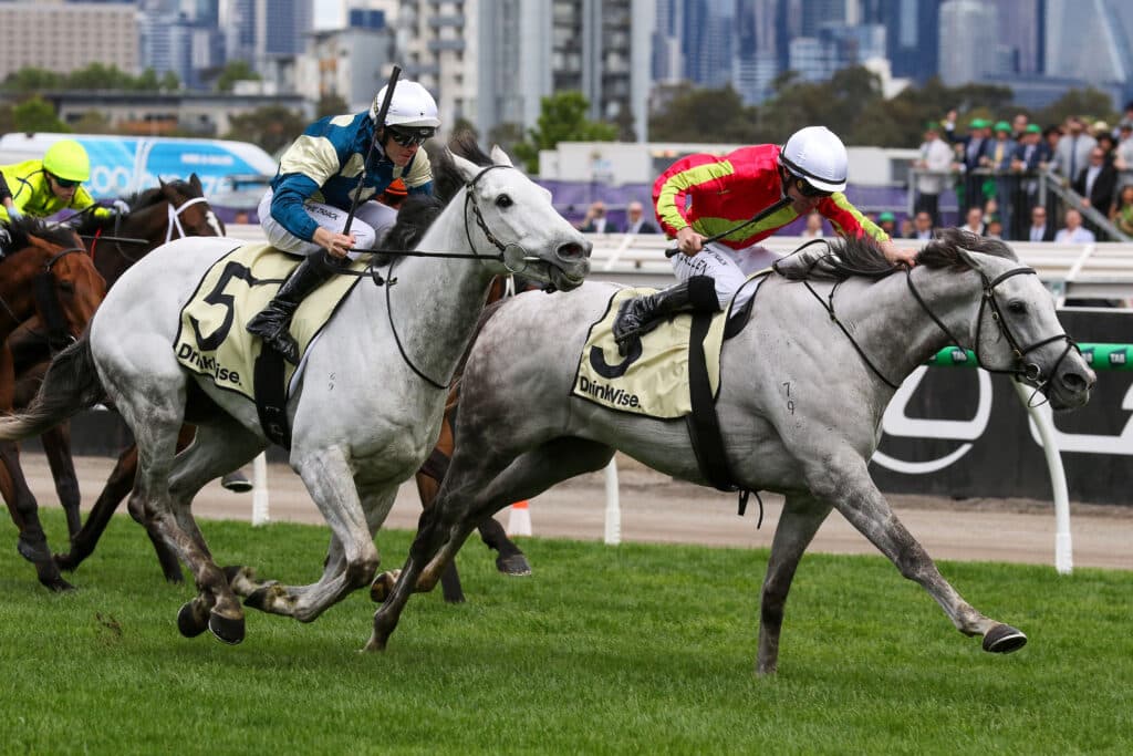 Bedggood: Kingswood will be "highly competitive" in overseas Group 1