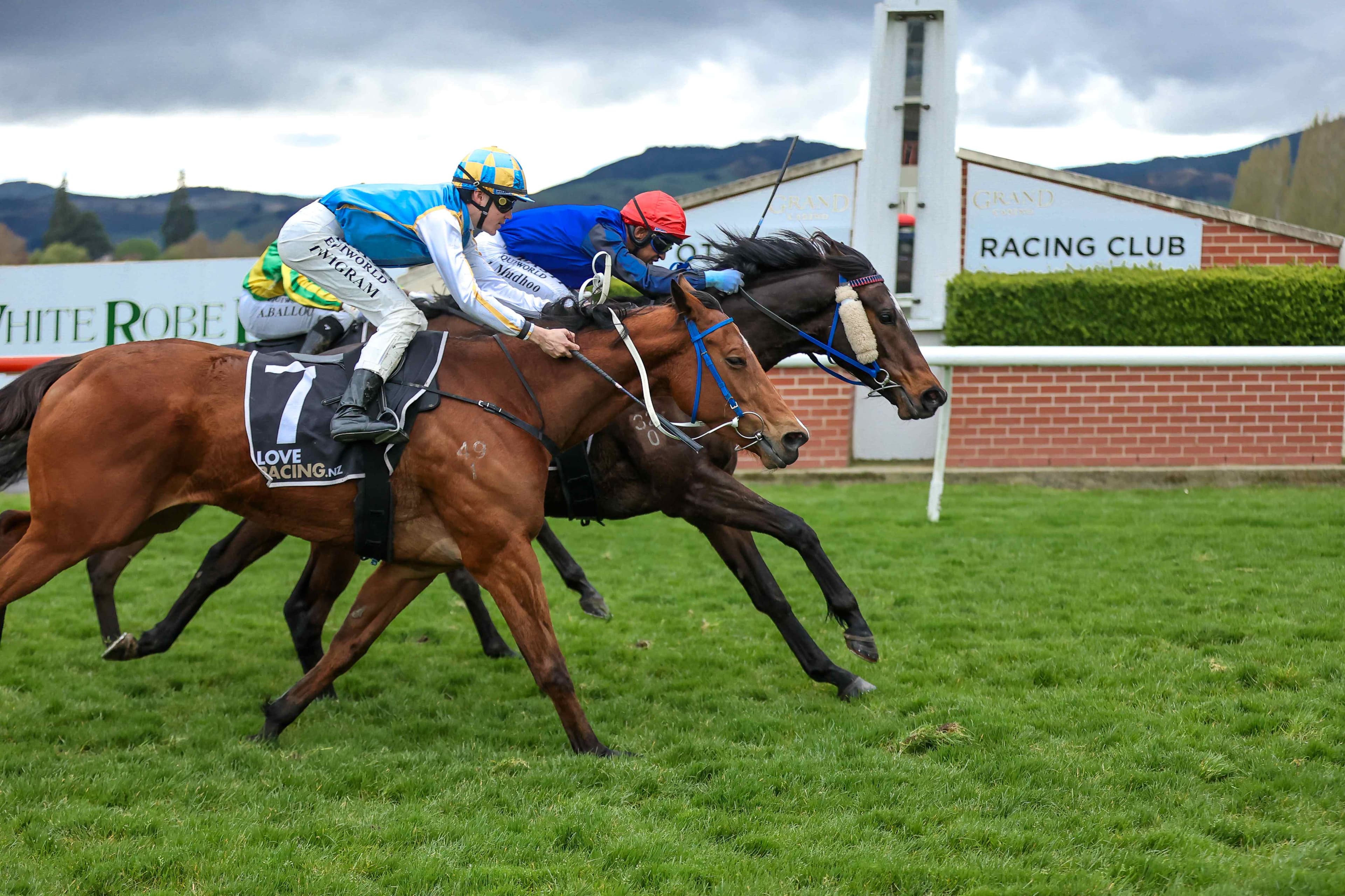 Well-related gelding shooting for back-to-back wins