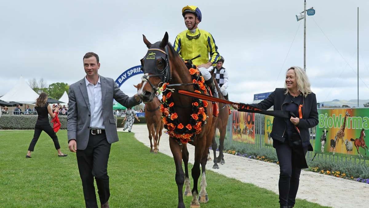 Waitak leads weekend winners as War Princess and Zorero shine