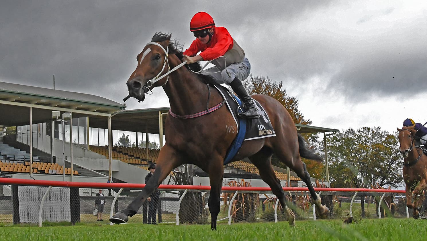 Te Rapa to determine Super Photon’s path