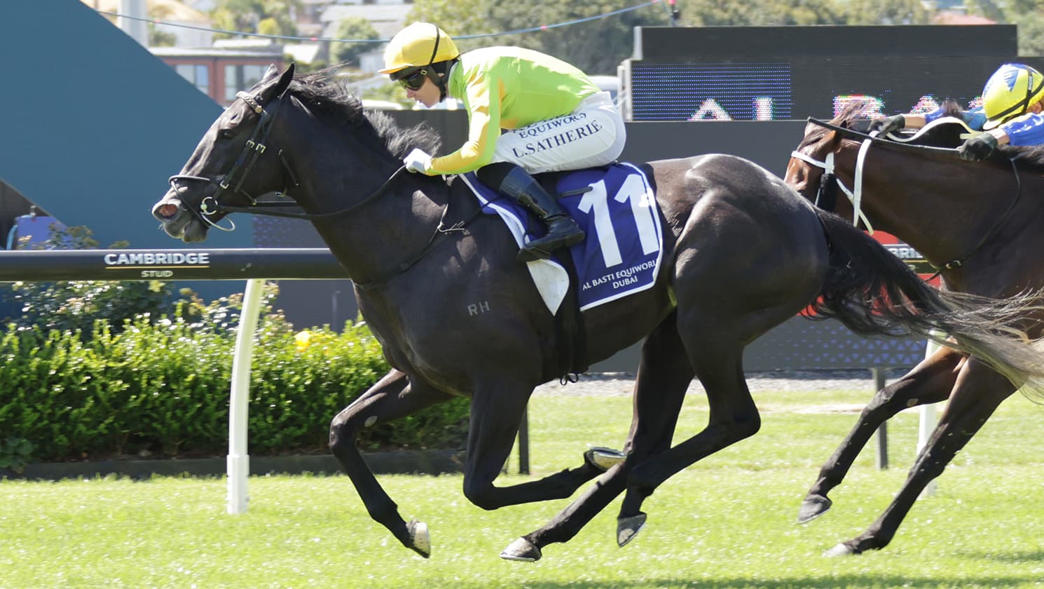Moxie on song for Proisir Plate