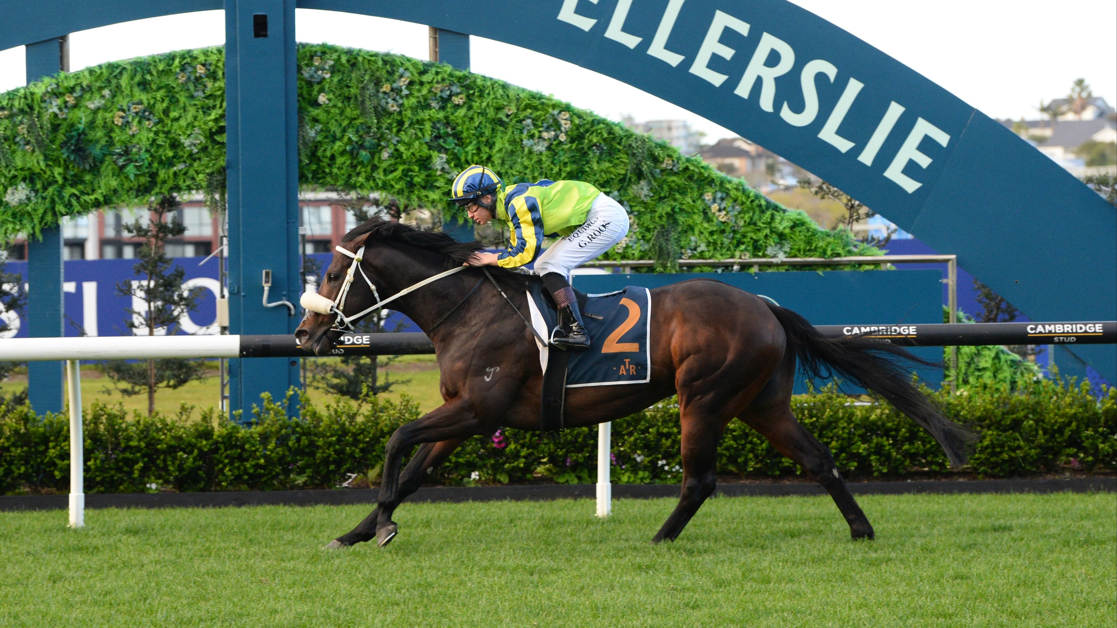 Marsh stablemates in zone for Foxbridge