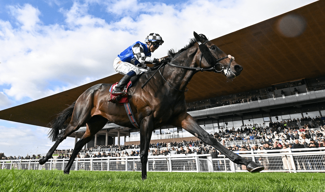Al Riffa retains Melbourne Cup favouritism after track upgrade
