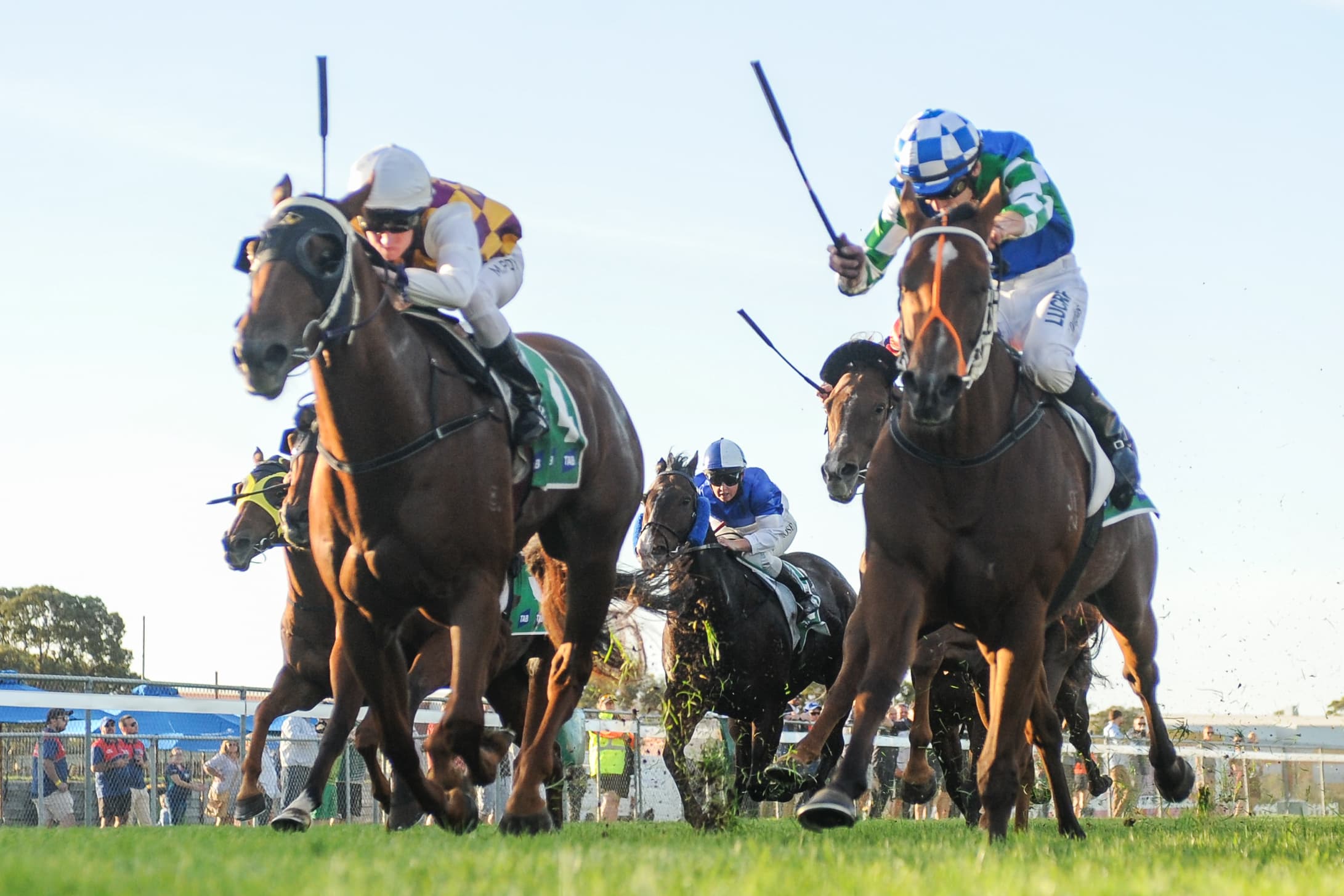 Friday best bets from Luke & Noonan (24/04)