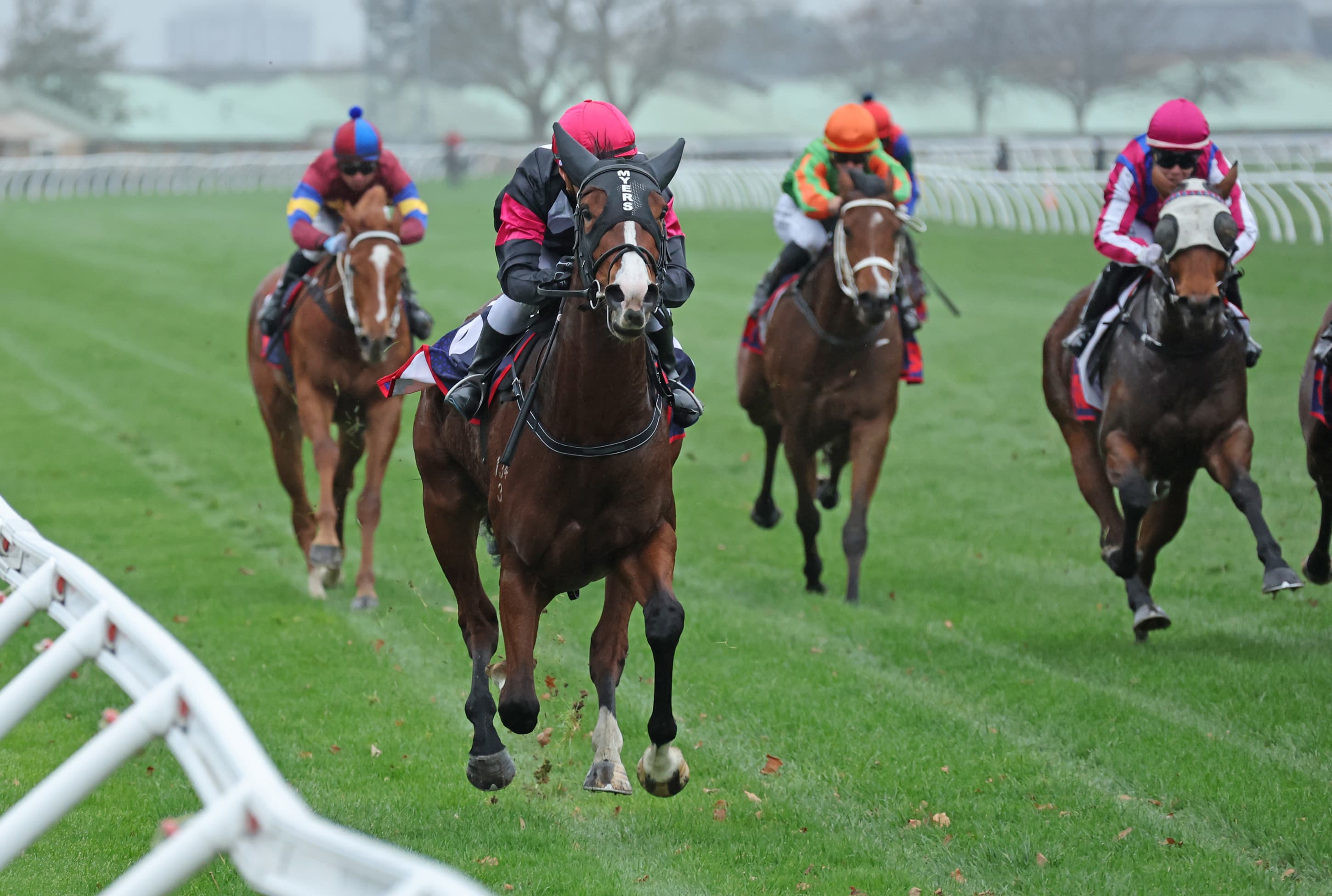 Stakes bound filly shows measure of family talent