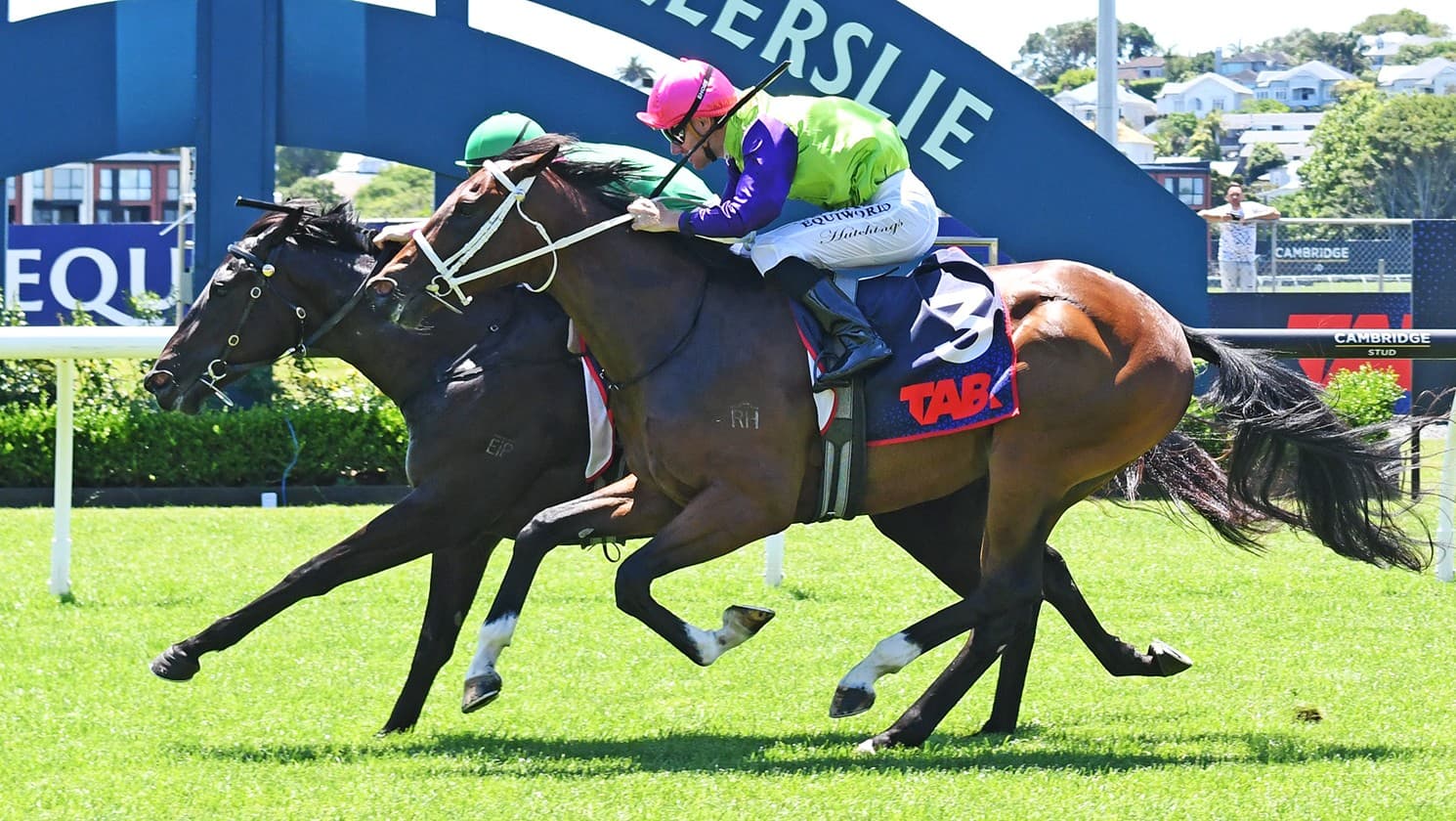 Forsman double sets up return to Ellerslie for Karaka Millions