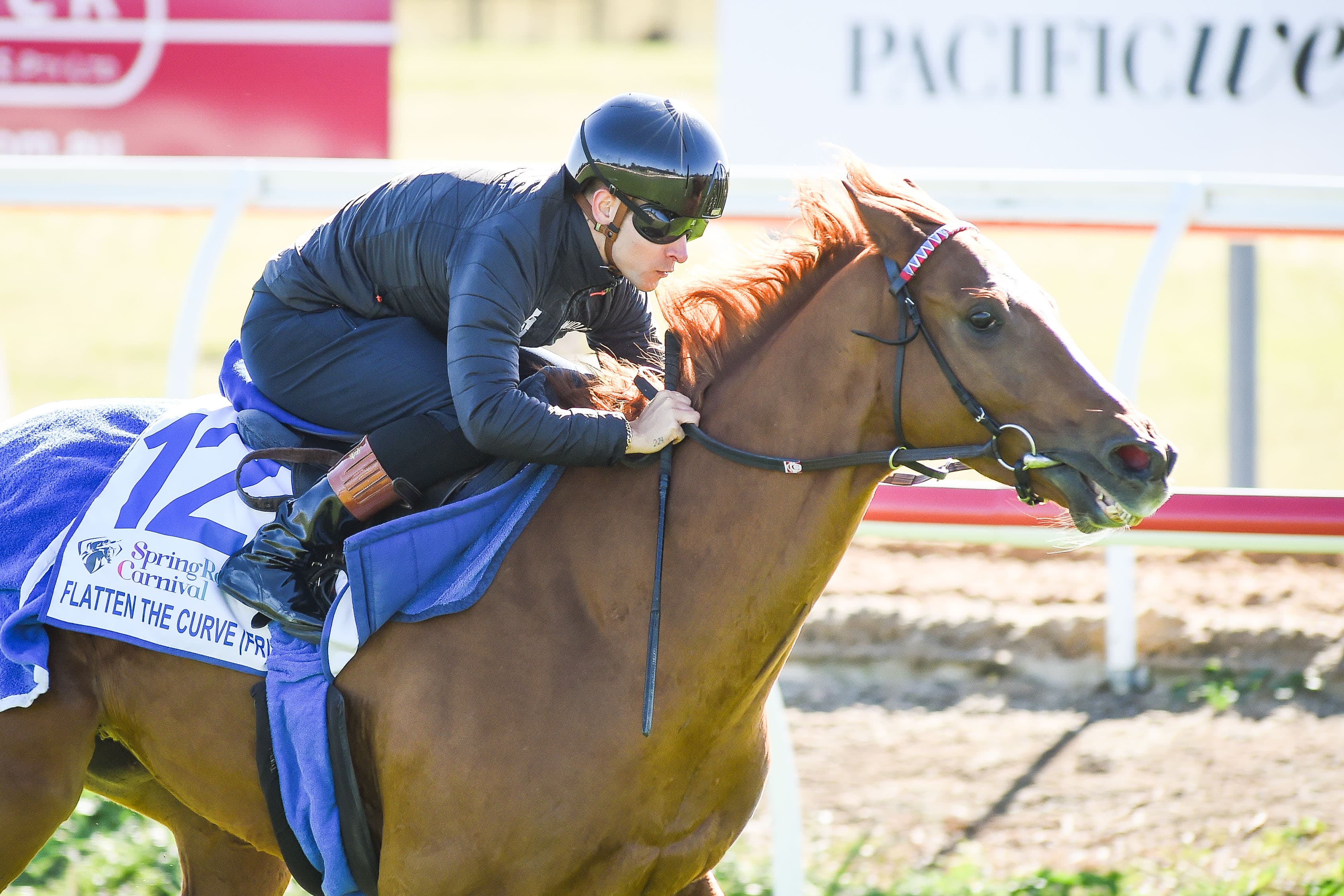 Under-the-radar Cup roughie who has been “demolishing” rivals