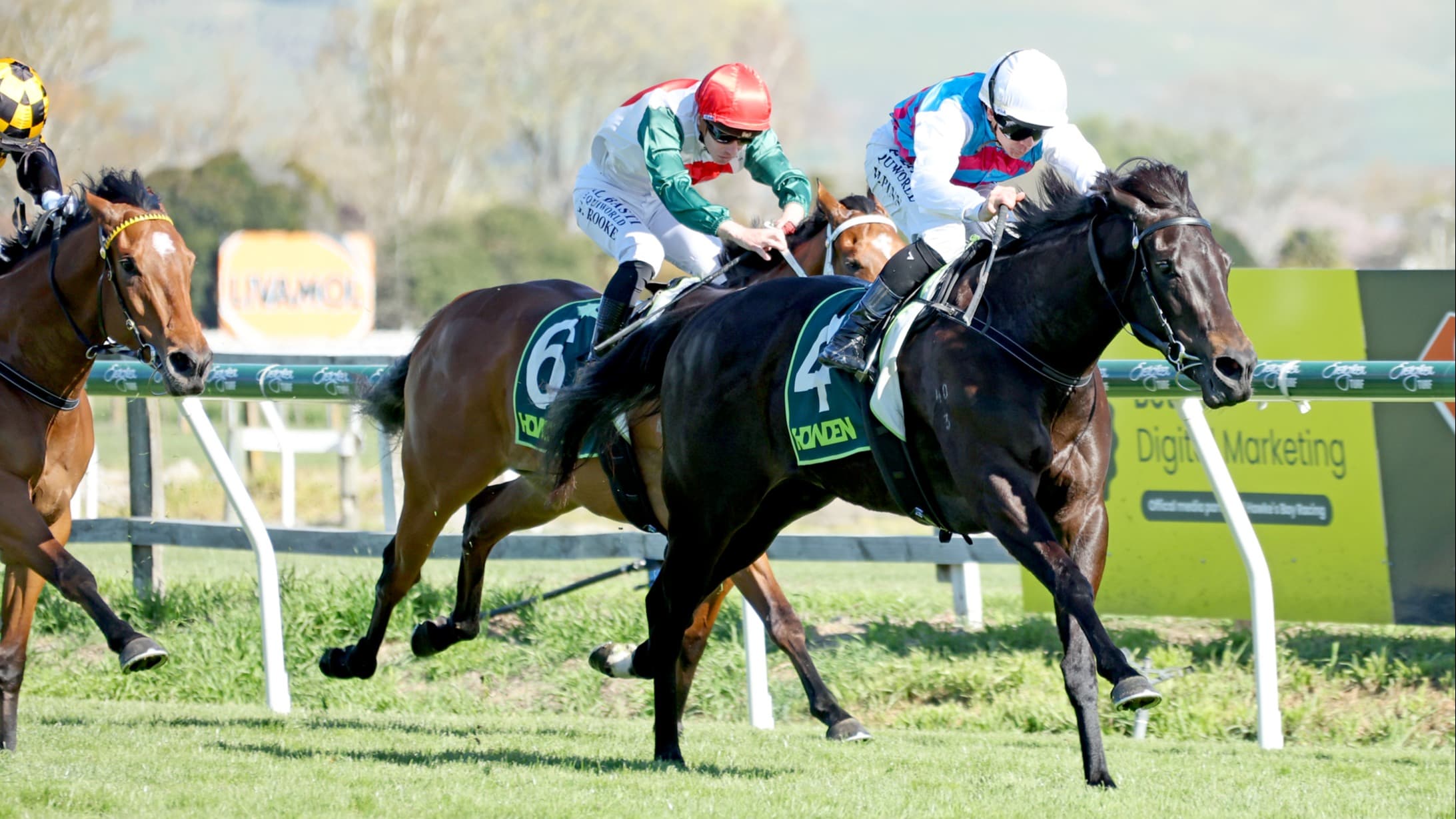 Hawea downs quality field in Gold Trail Stakes