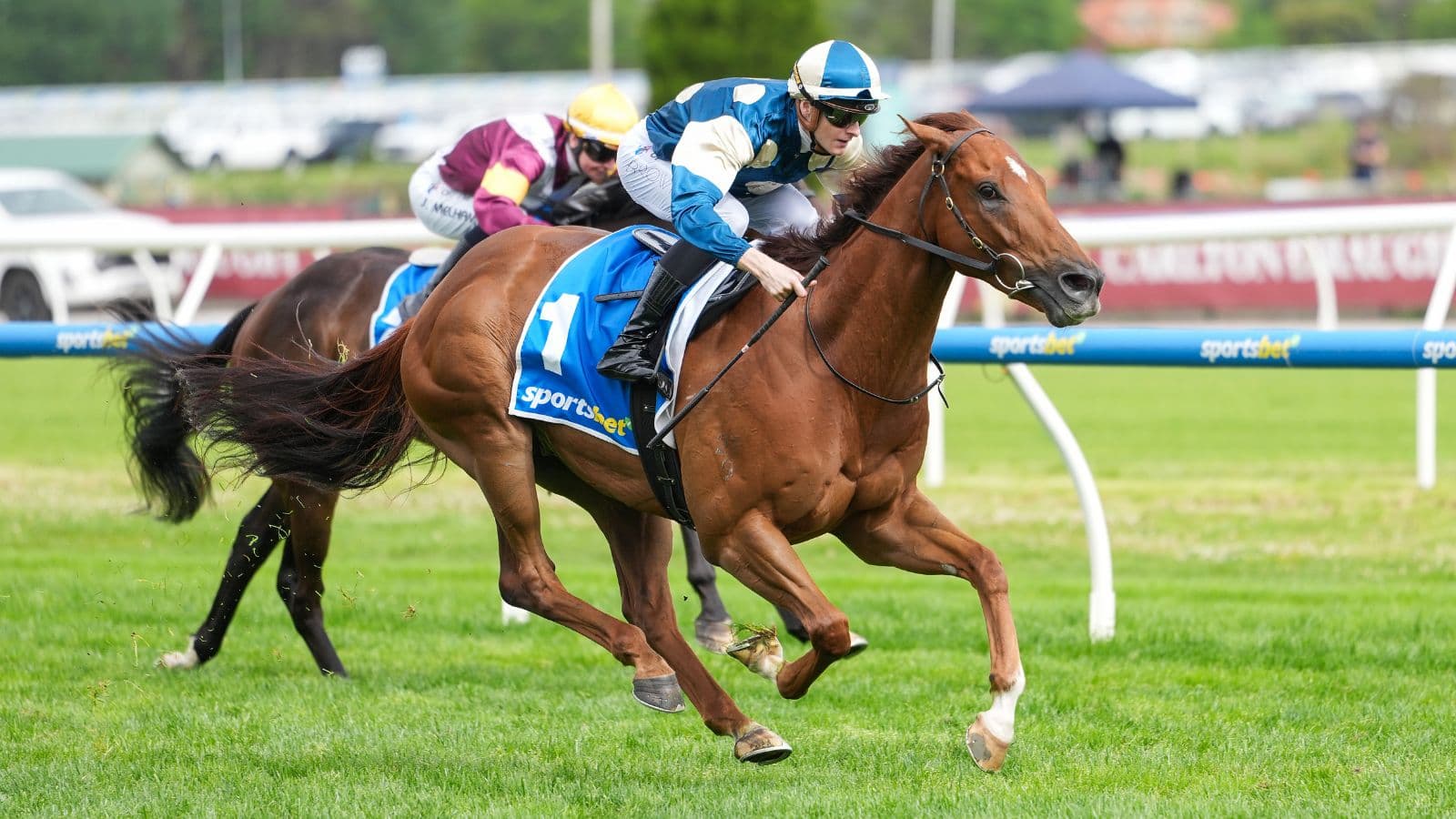 The Sydney Set's All Aged Stakes tips and preview