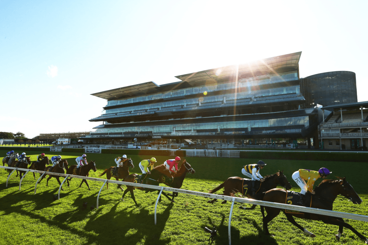 Mick Gannon's Saturday best at Randwick (14/02)
