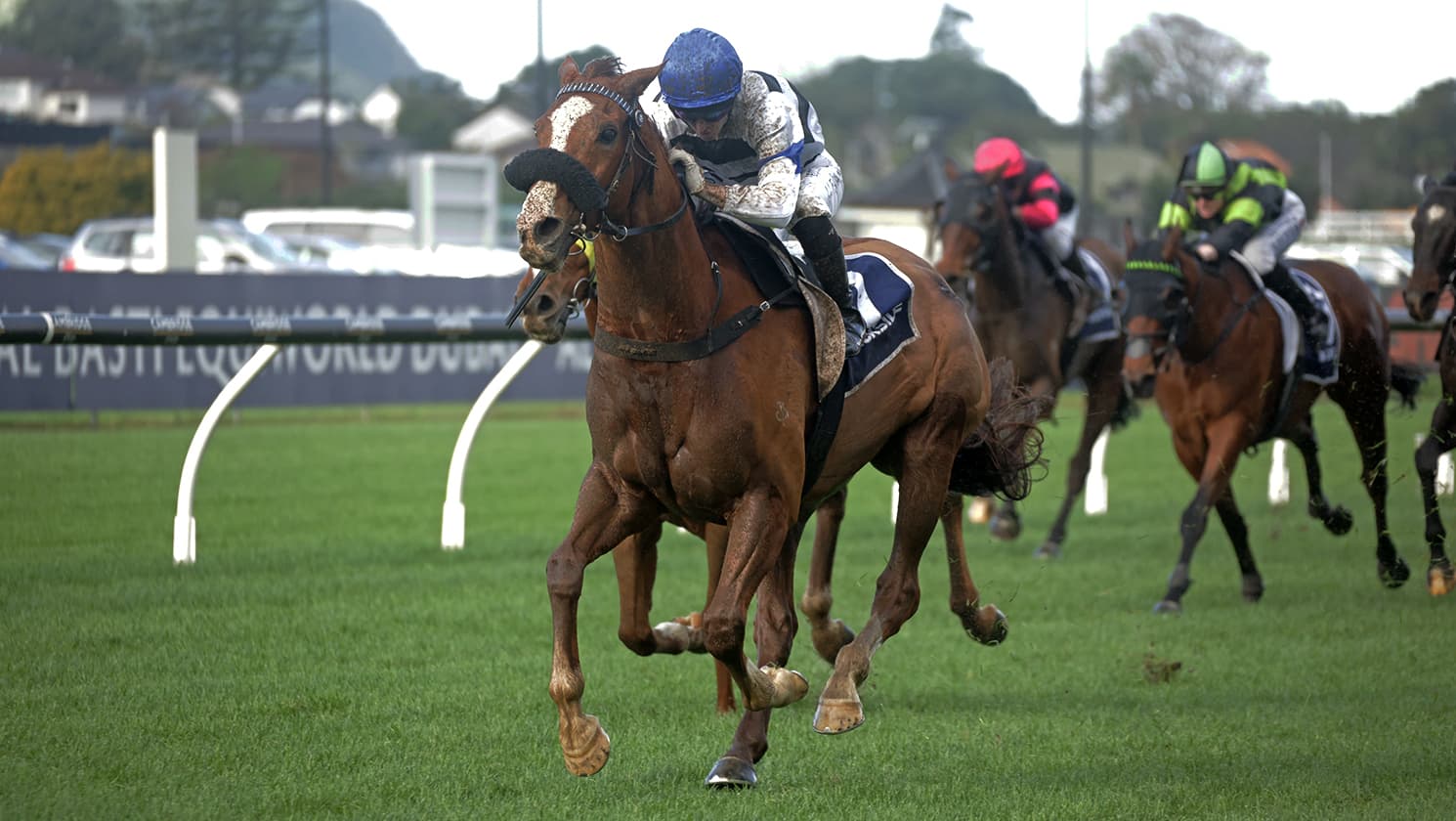 Fly My Wey on track for Winter Series Final