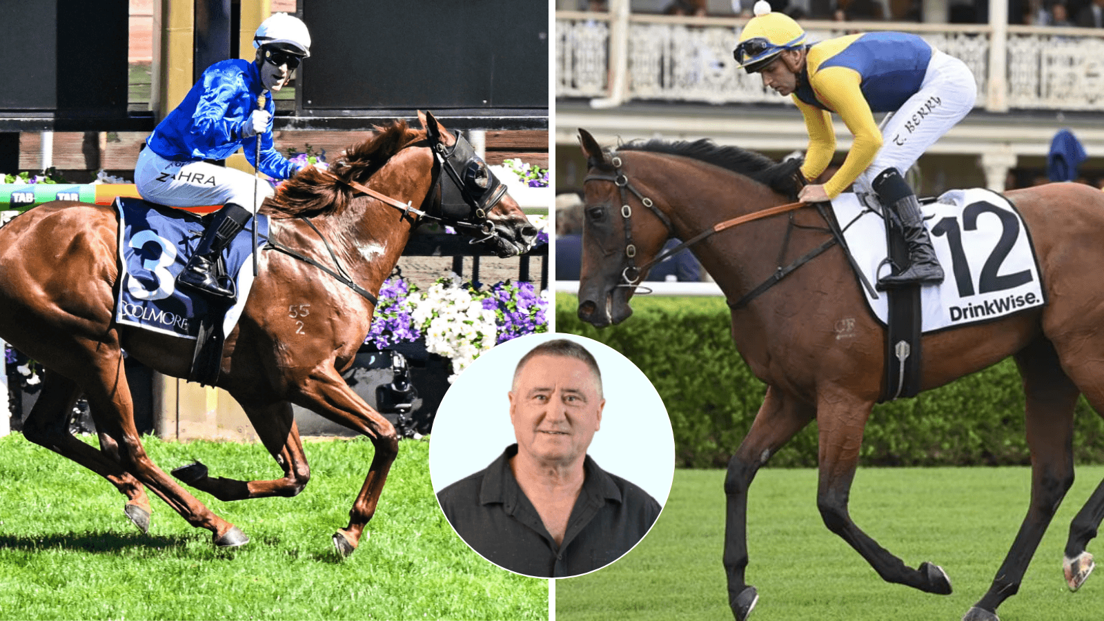 YES or NO: The horses that can win the Newmarket & All-Star Mile