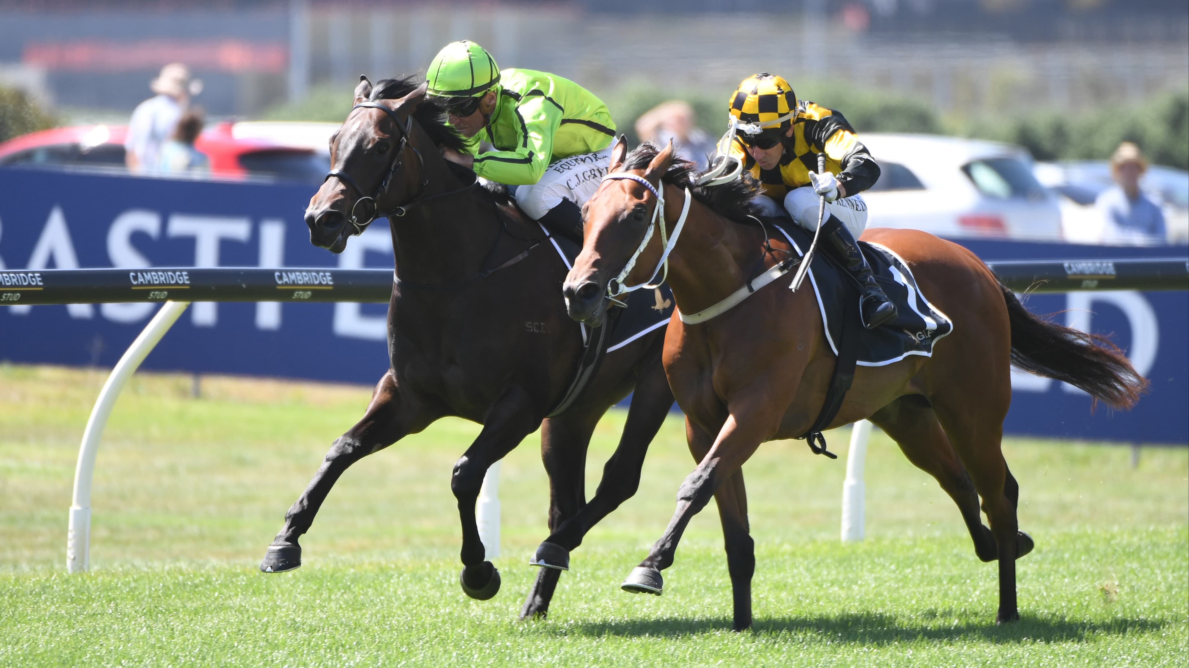 Sires’ Produce start in mix for smart debutante