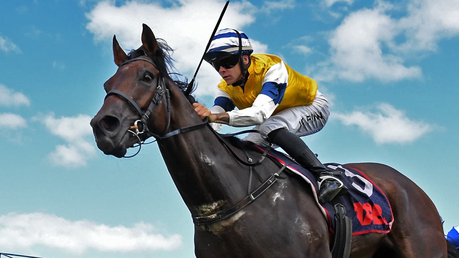 First Five slots another Group One